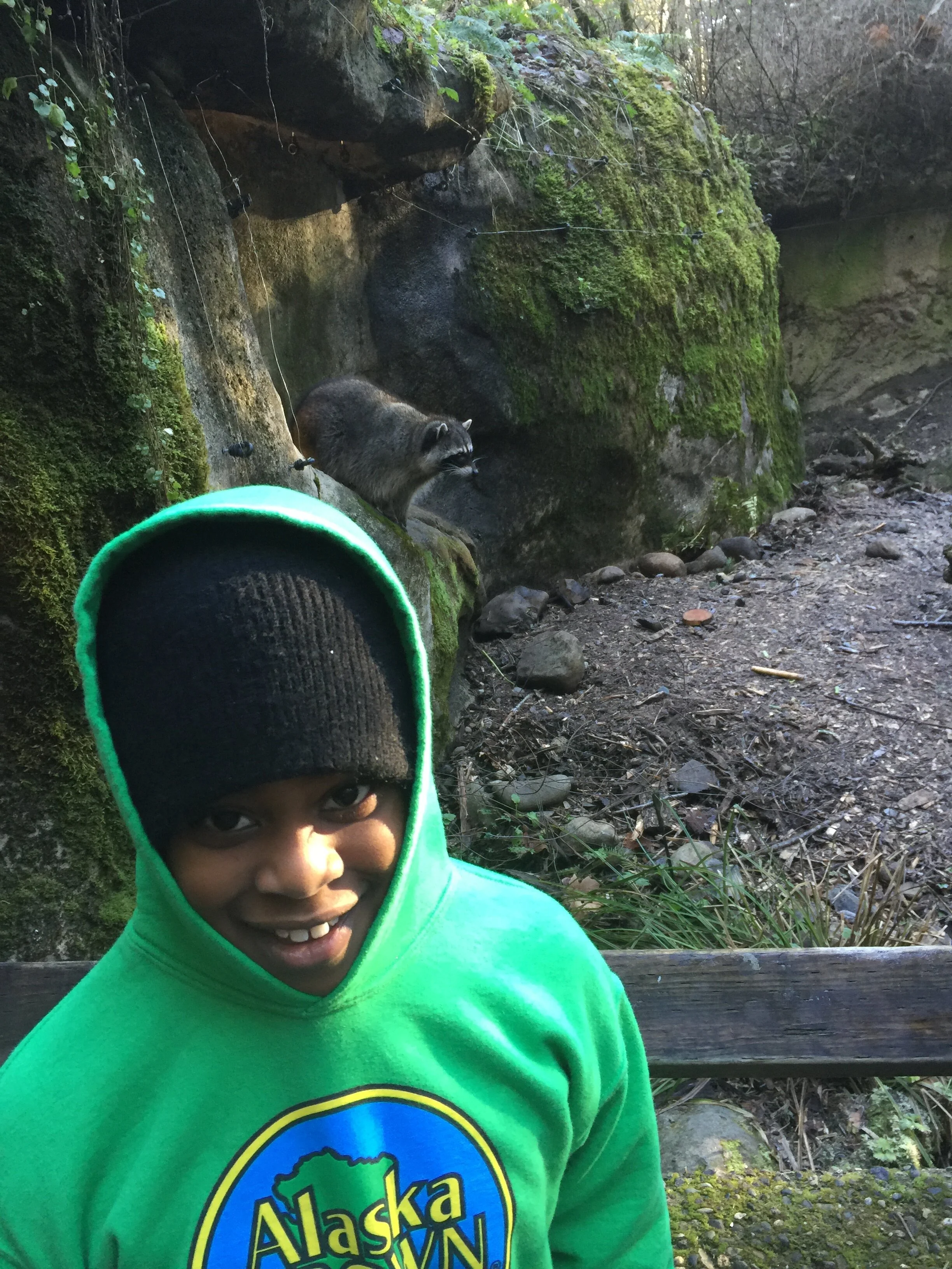 Northwest Trek Raccoon Trilogy In Motion.JPG