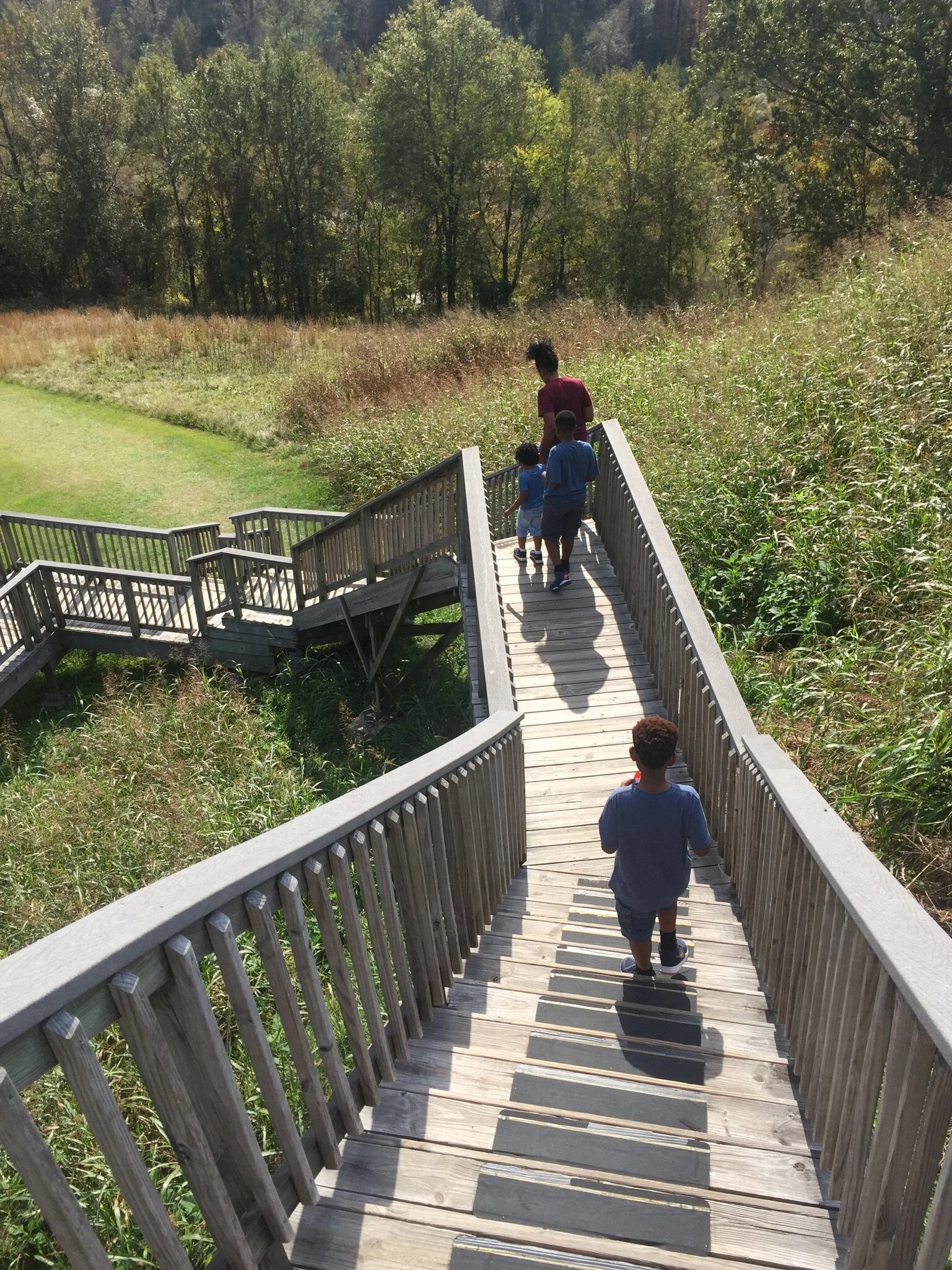 Macon Indian Mounds Ocmulgee National Monument.JPG