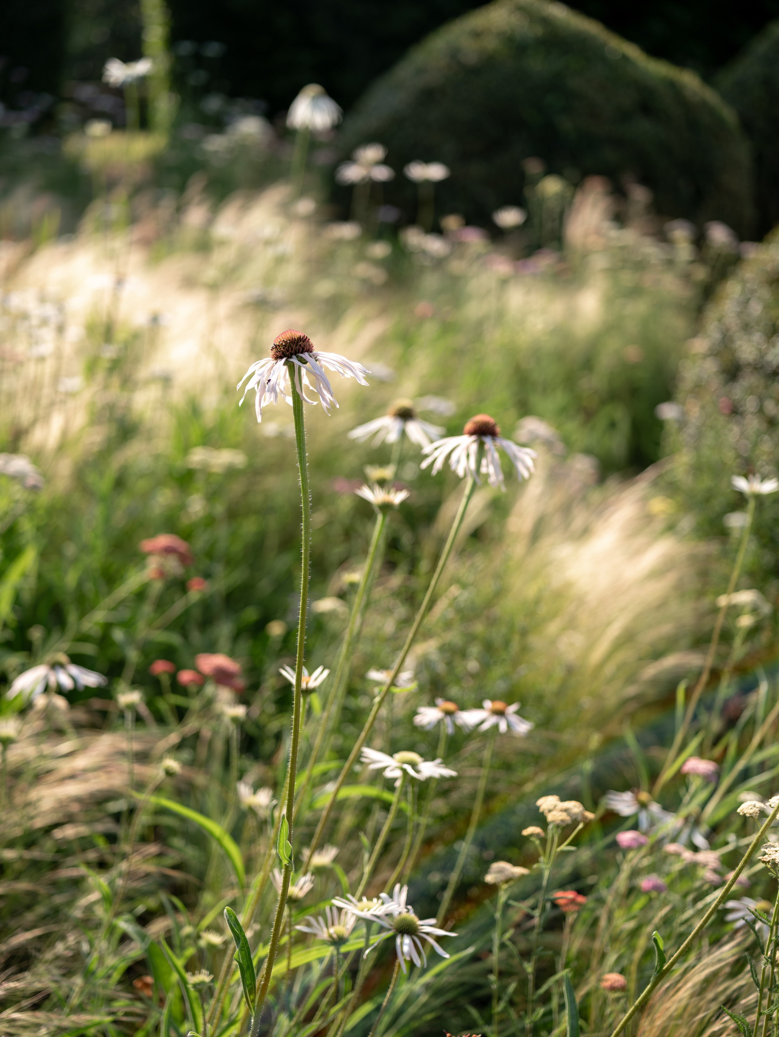 Fleurish 2023-93.jpg