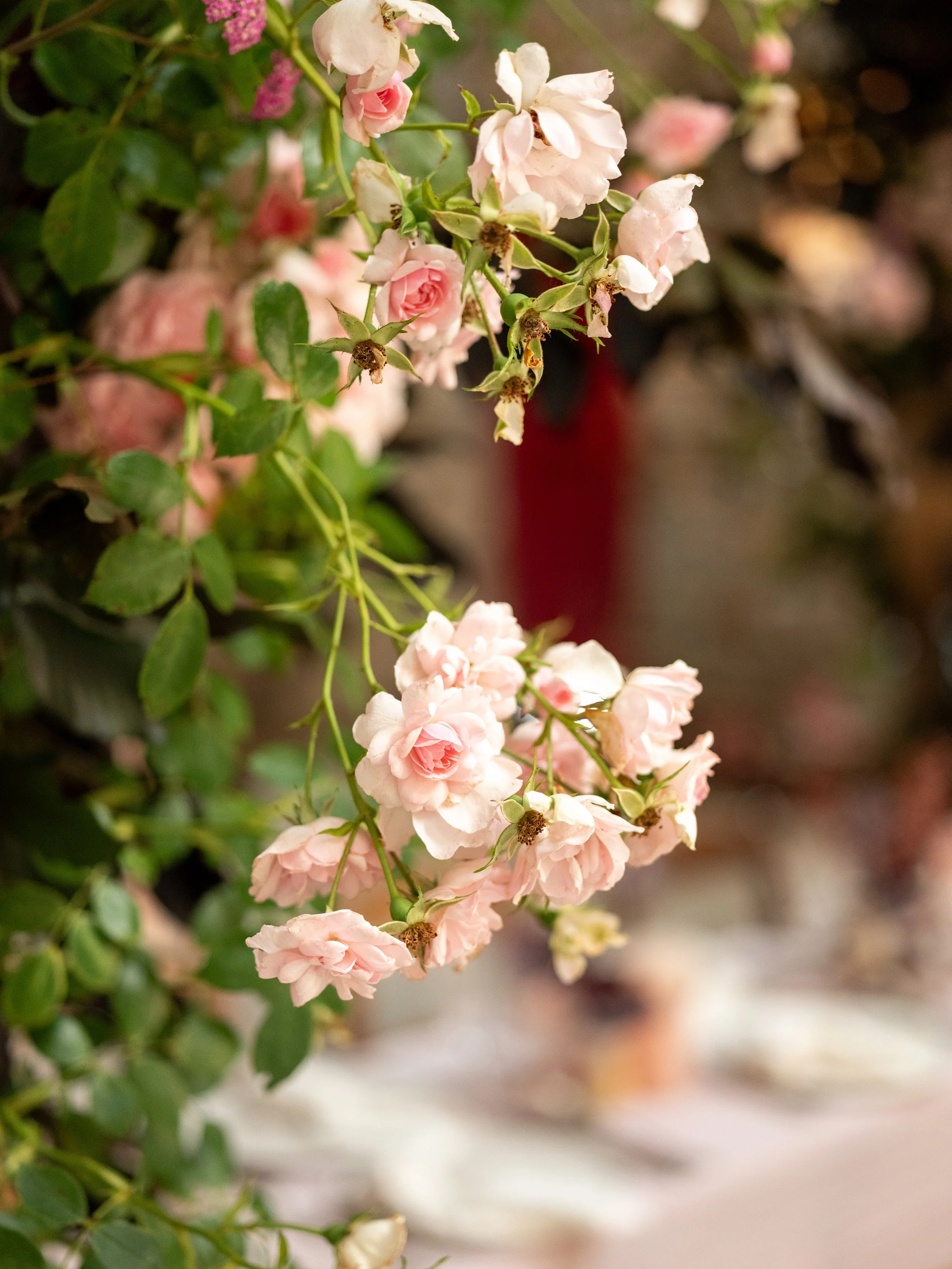 Fleurish 2023-643.jpg