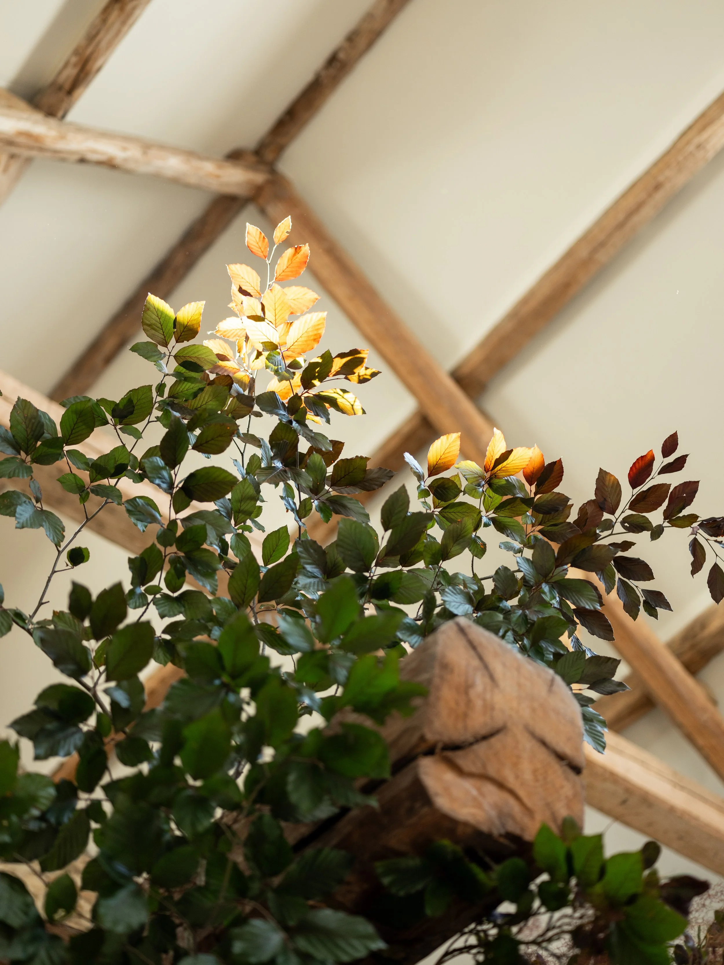 Fleurish 2023-565.jpg