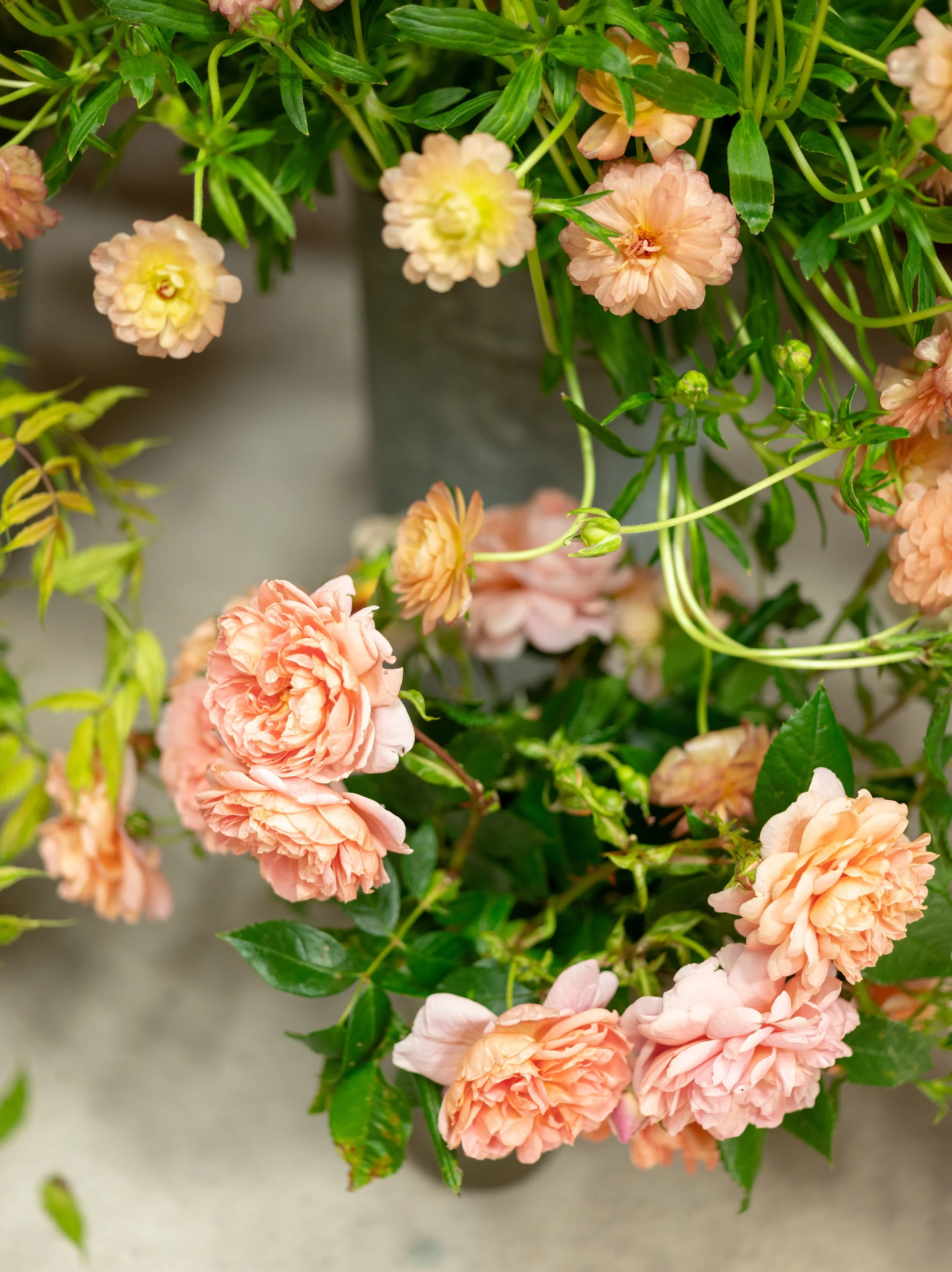 Fleurish 2023-11.jpg