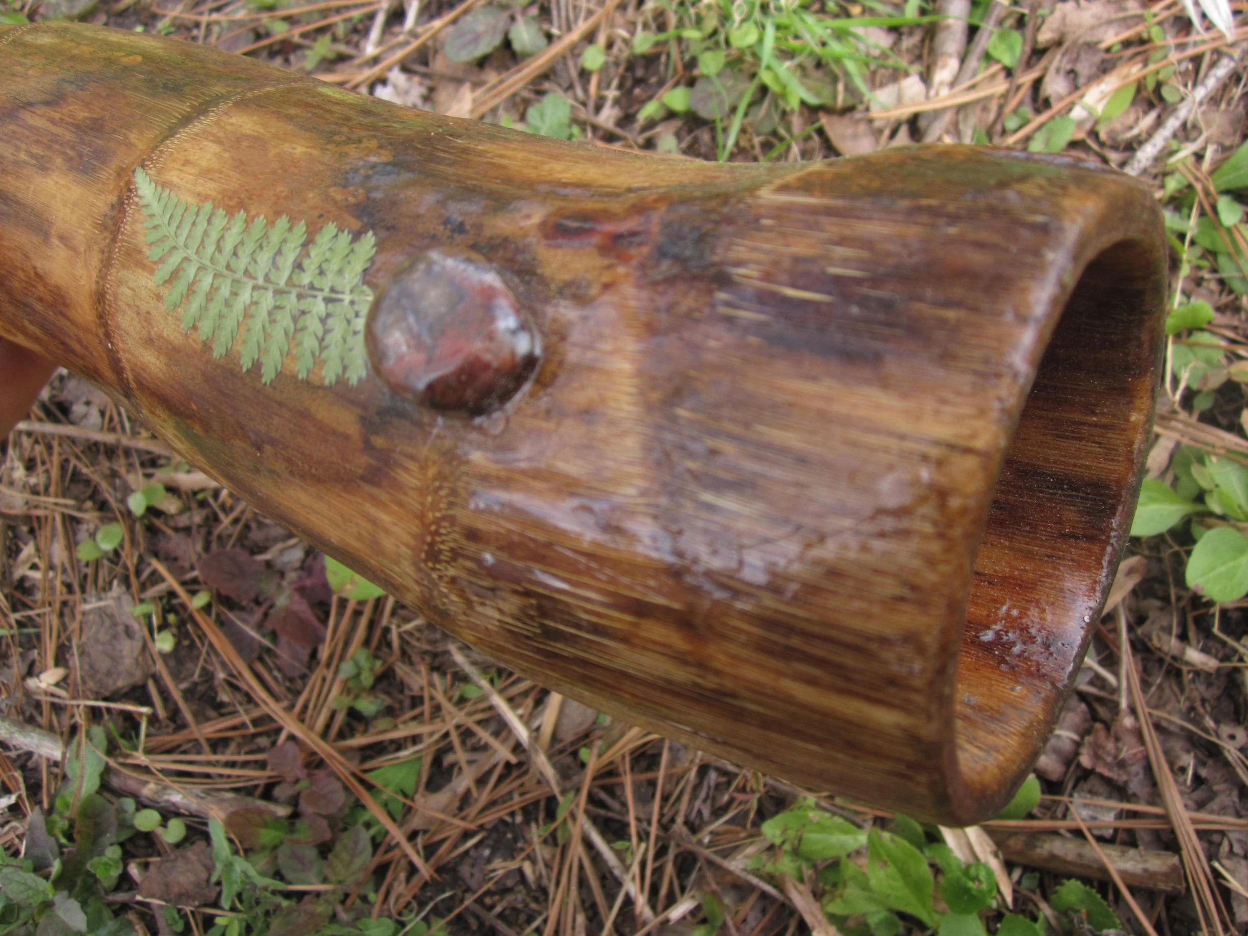 Hawaii Didgeridoo Immersion