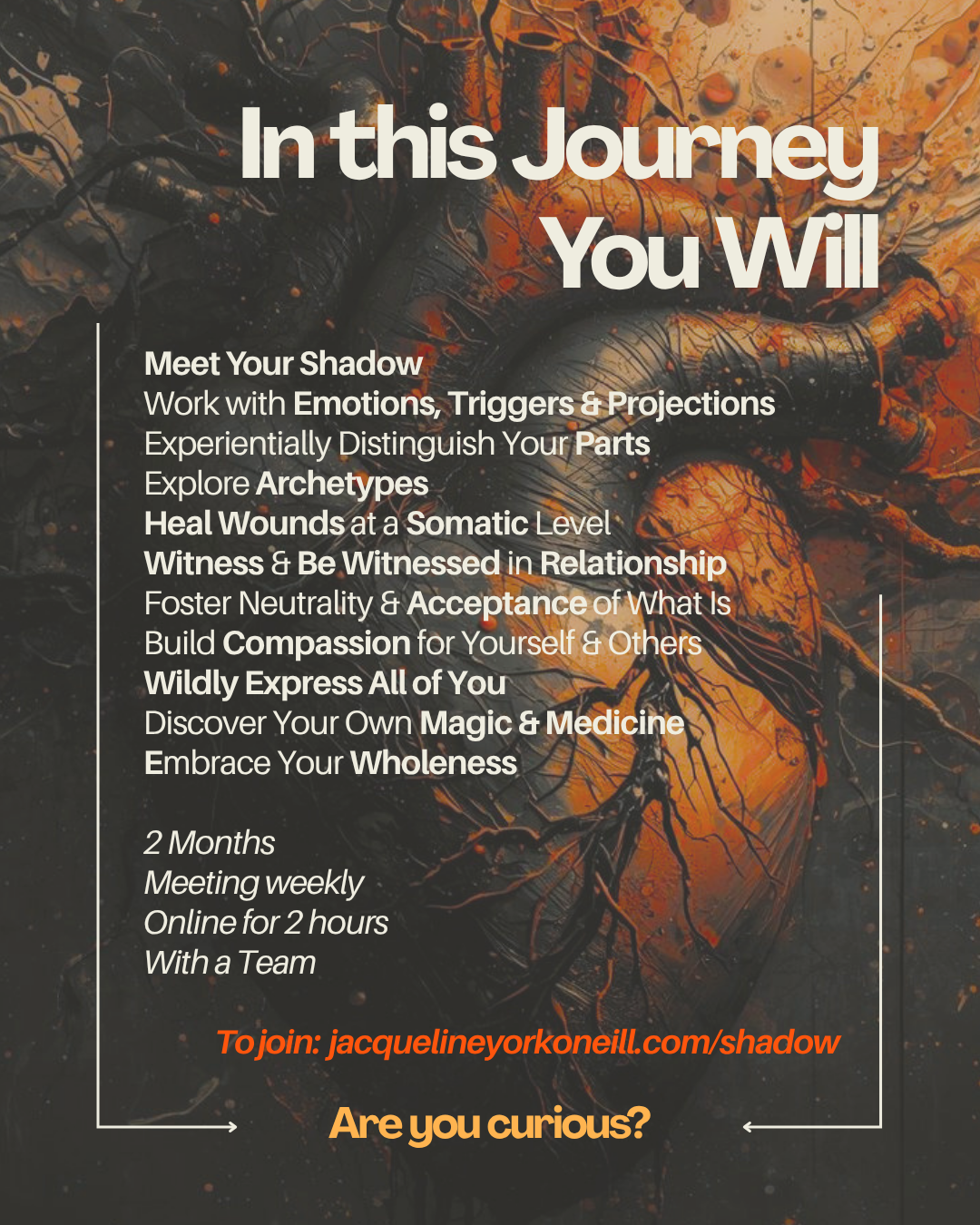 An abstract background with dark and orange hues and black branches overlayed, with white and orange text promoting a personal journey or healing program.