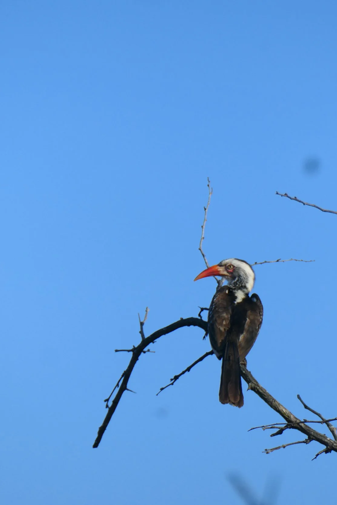 P1107590.png