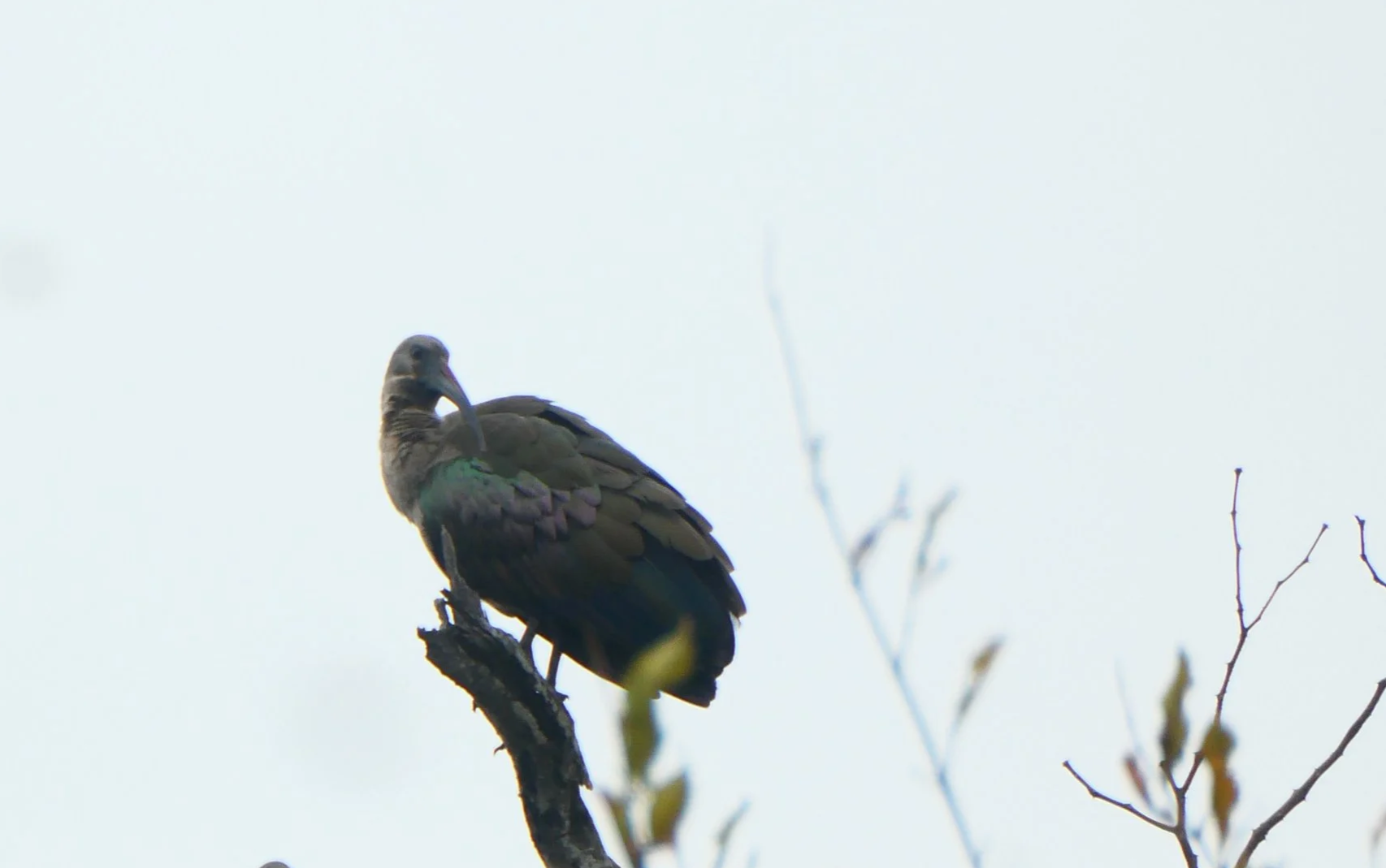 P1108319.png