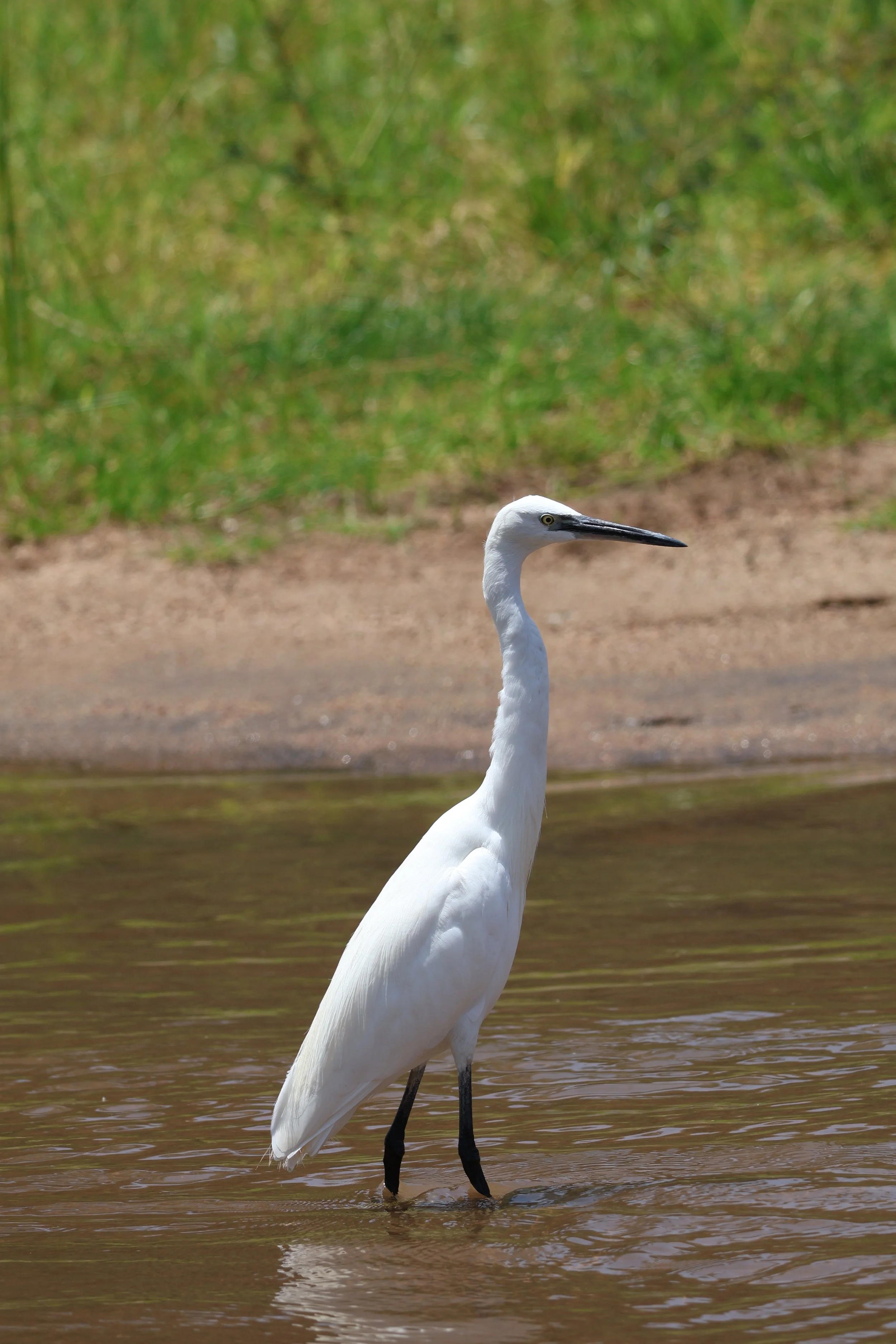 IMG_2140.JPG
