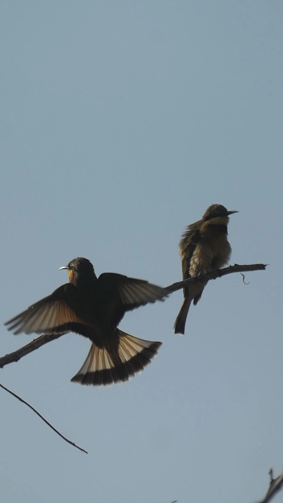 IMG_5851.jpeg