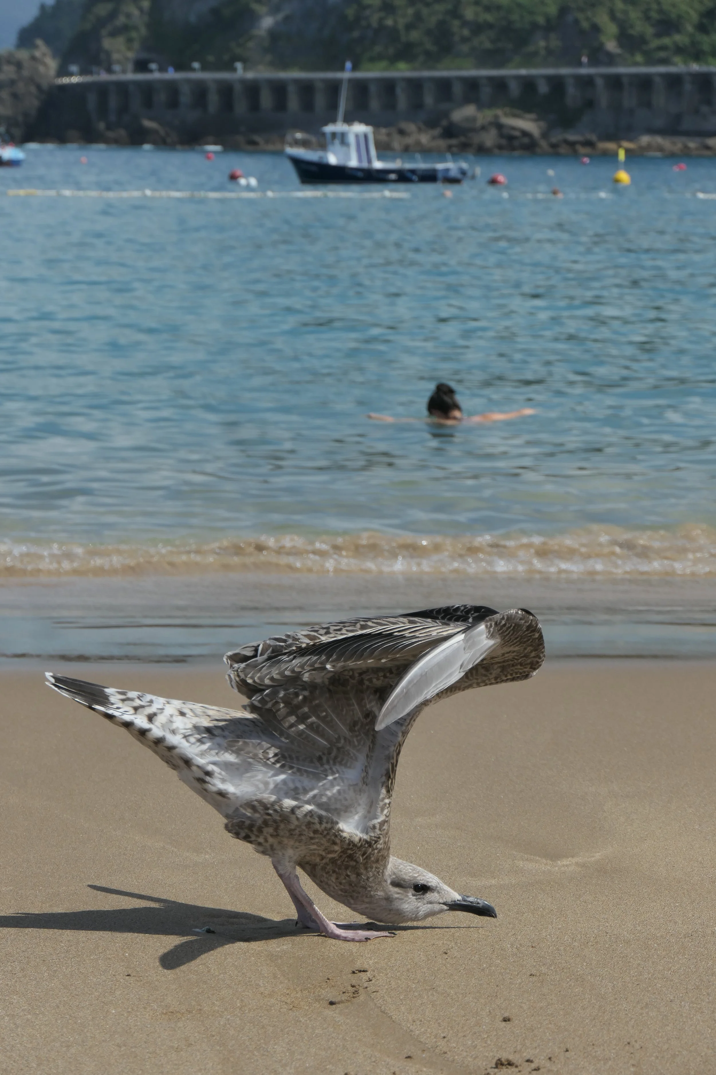 IMG_9666.jpeg