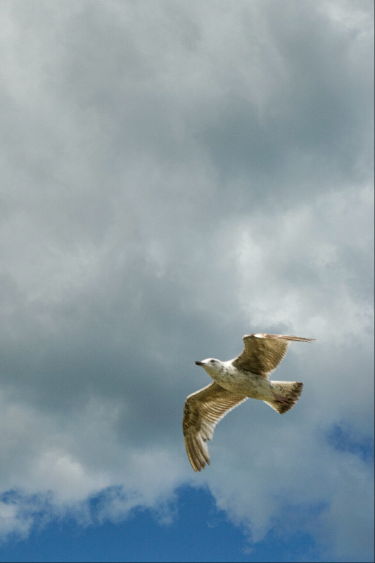 IMG_3443.png