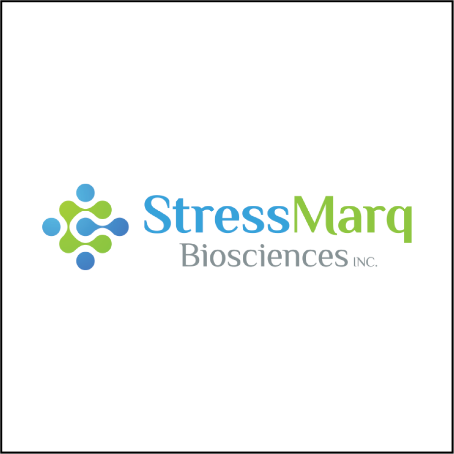 New collaboration: OrganoTherapeutics and StressMarq Biosciences join forces for alpha-synuclein pathology research