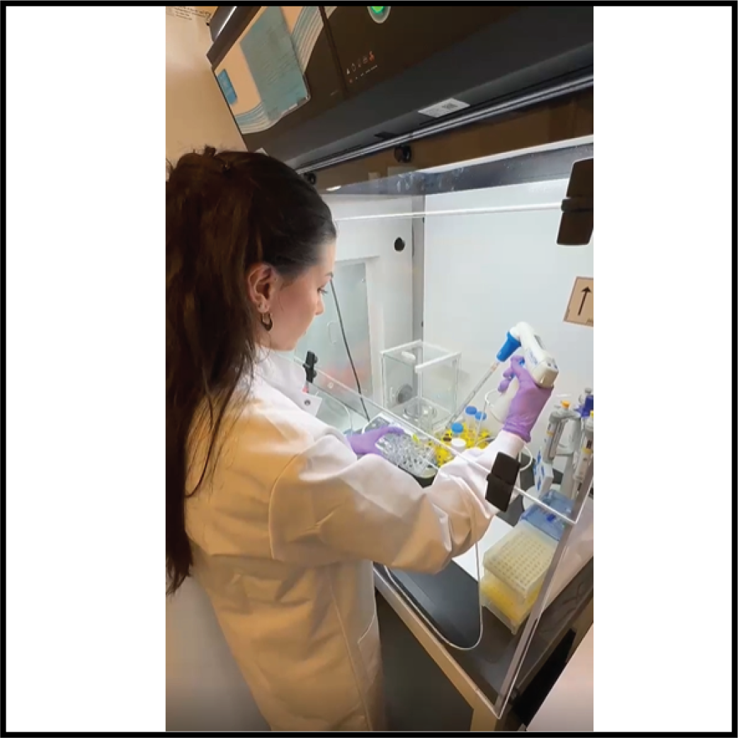 The move of OrganoTherapeutics: Welcome to our new fully-equipped laboratory spaces in Luxembourg