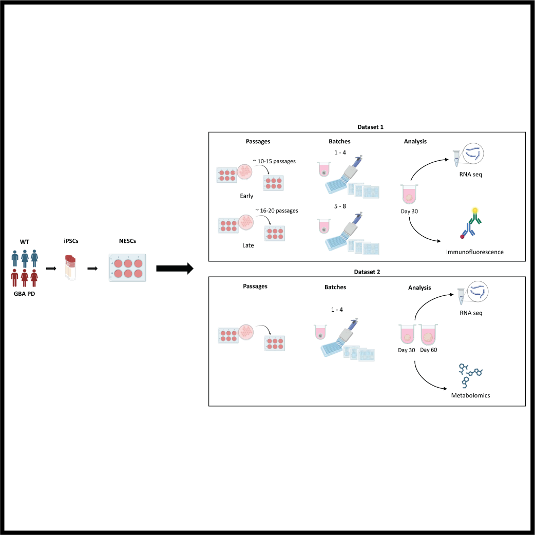 Advancing reproducibility in organoid research: a breakthrough for midbrain models