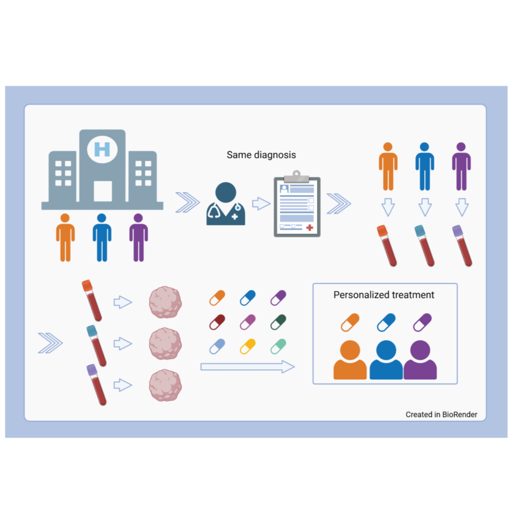 OrganoTherapeutics January 2026 ; Personalized medicine and organoid models
