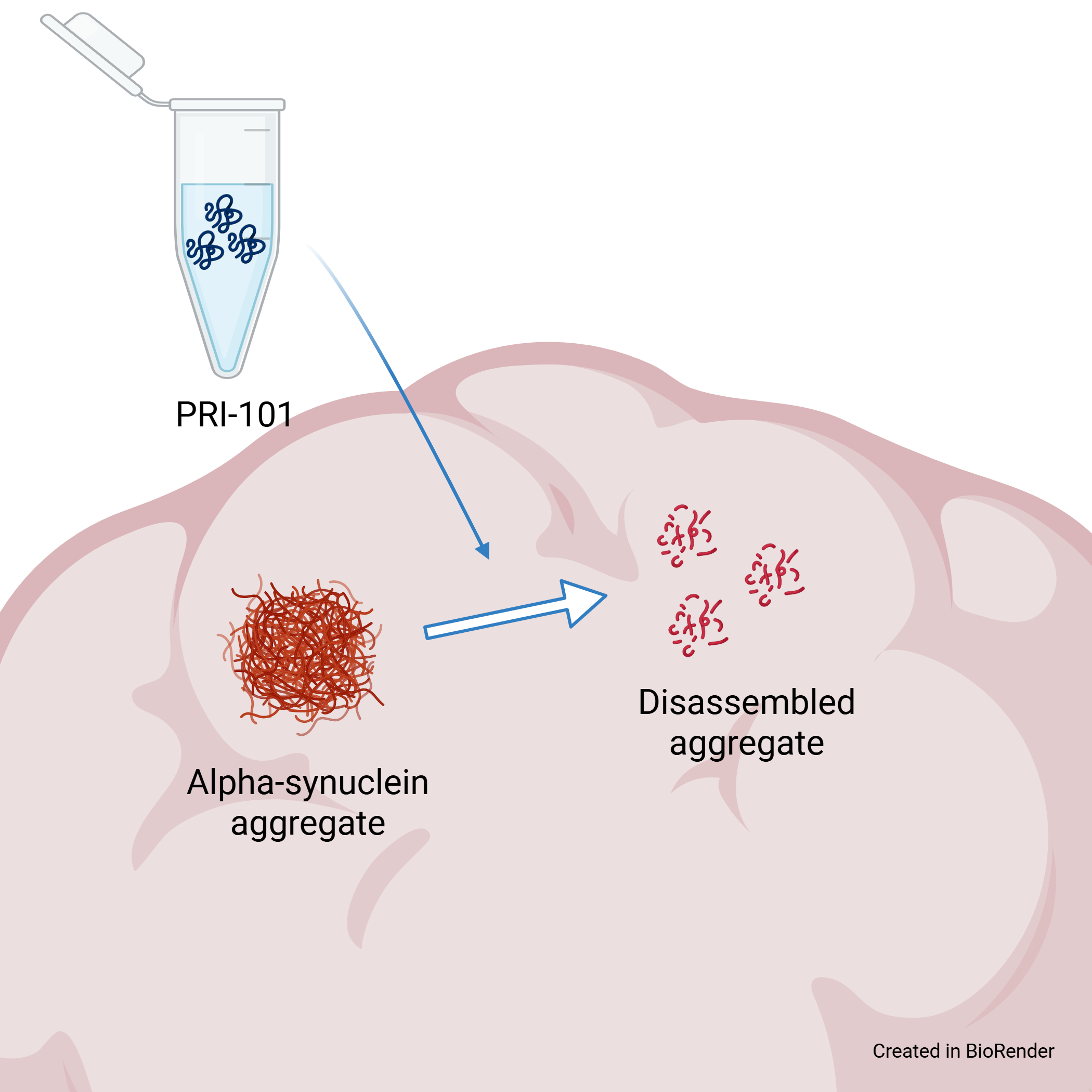 Advancing Therapeutic Strategies for Neurodegenerative Diseases
