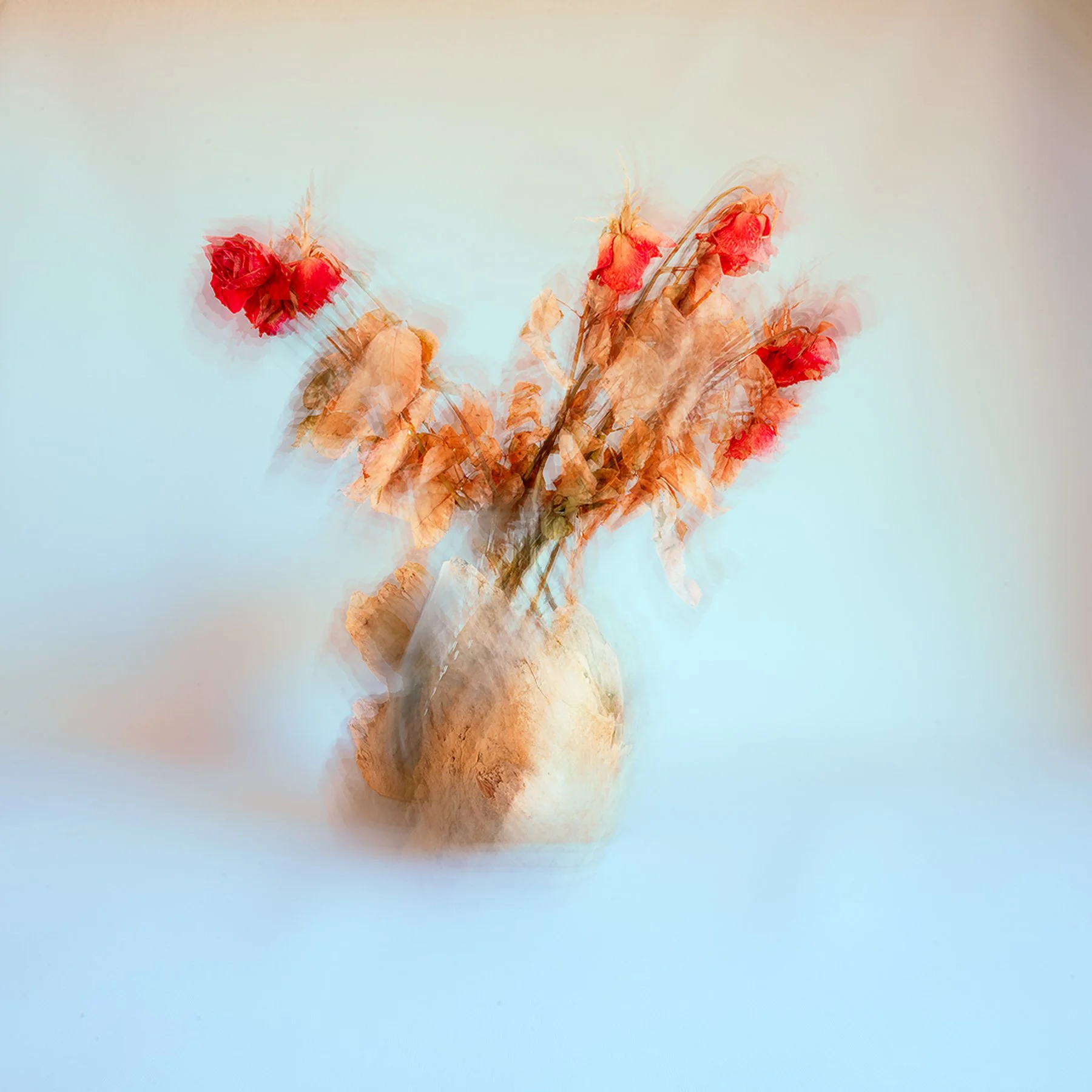 roses ICM.jpg