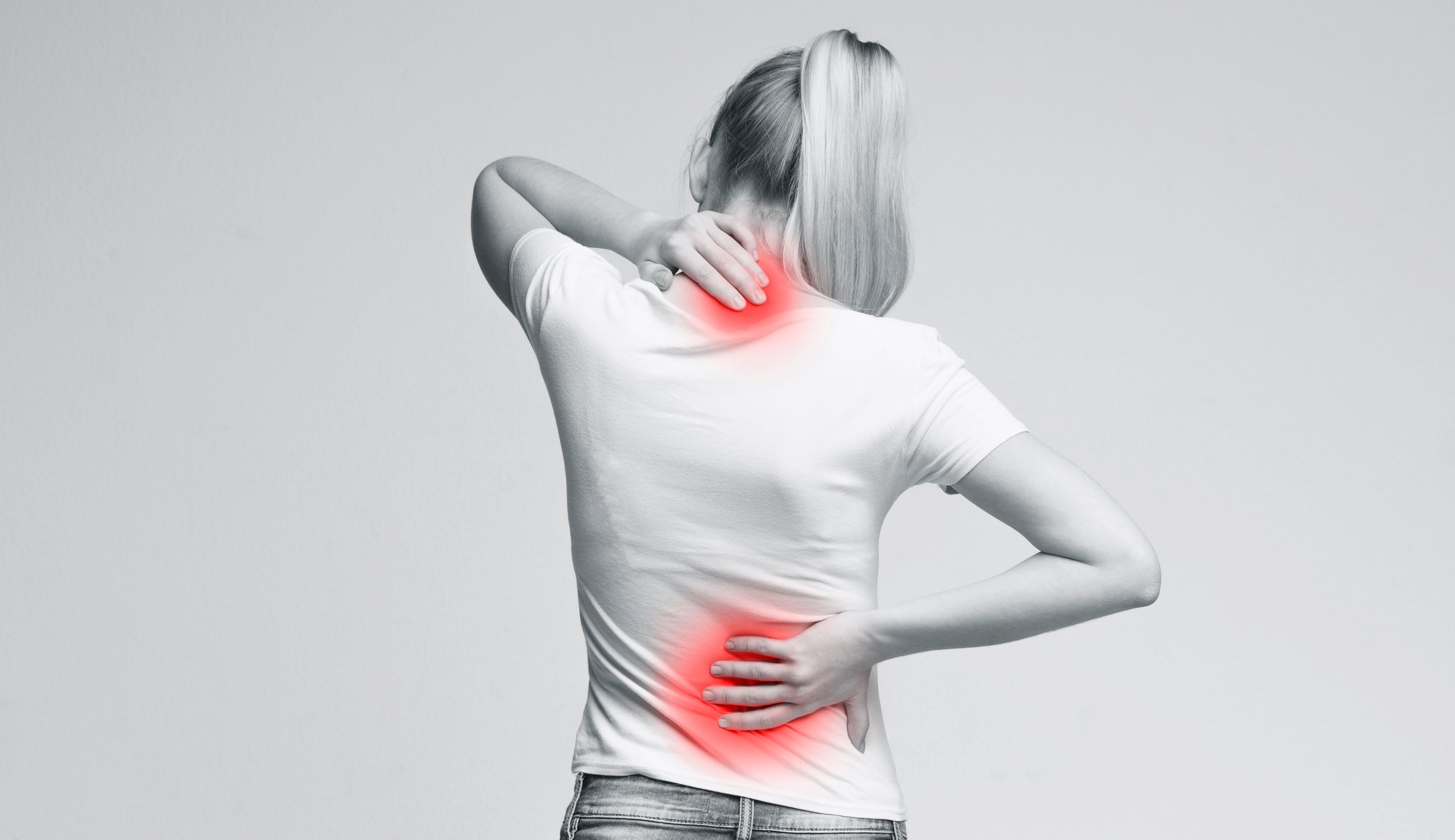 Spinal Mechanics and Back Pain 101