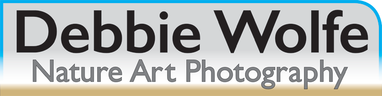 Debbie Wolfe Nature Art Photography