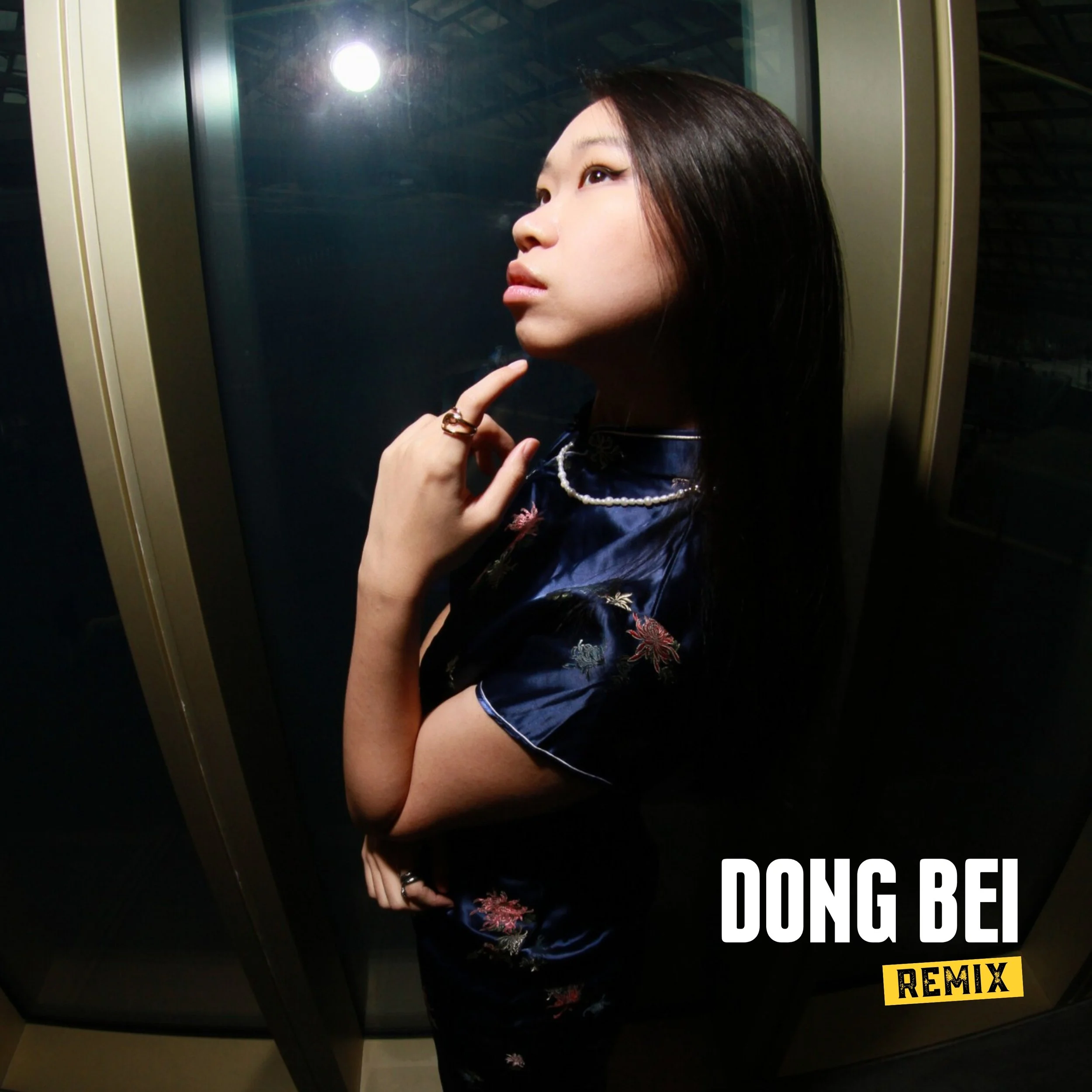 Dong Bei - Chinese Single
