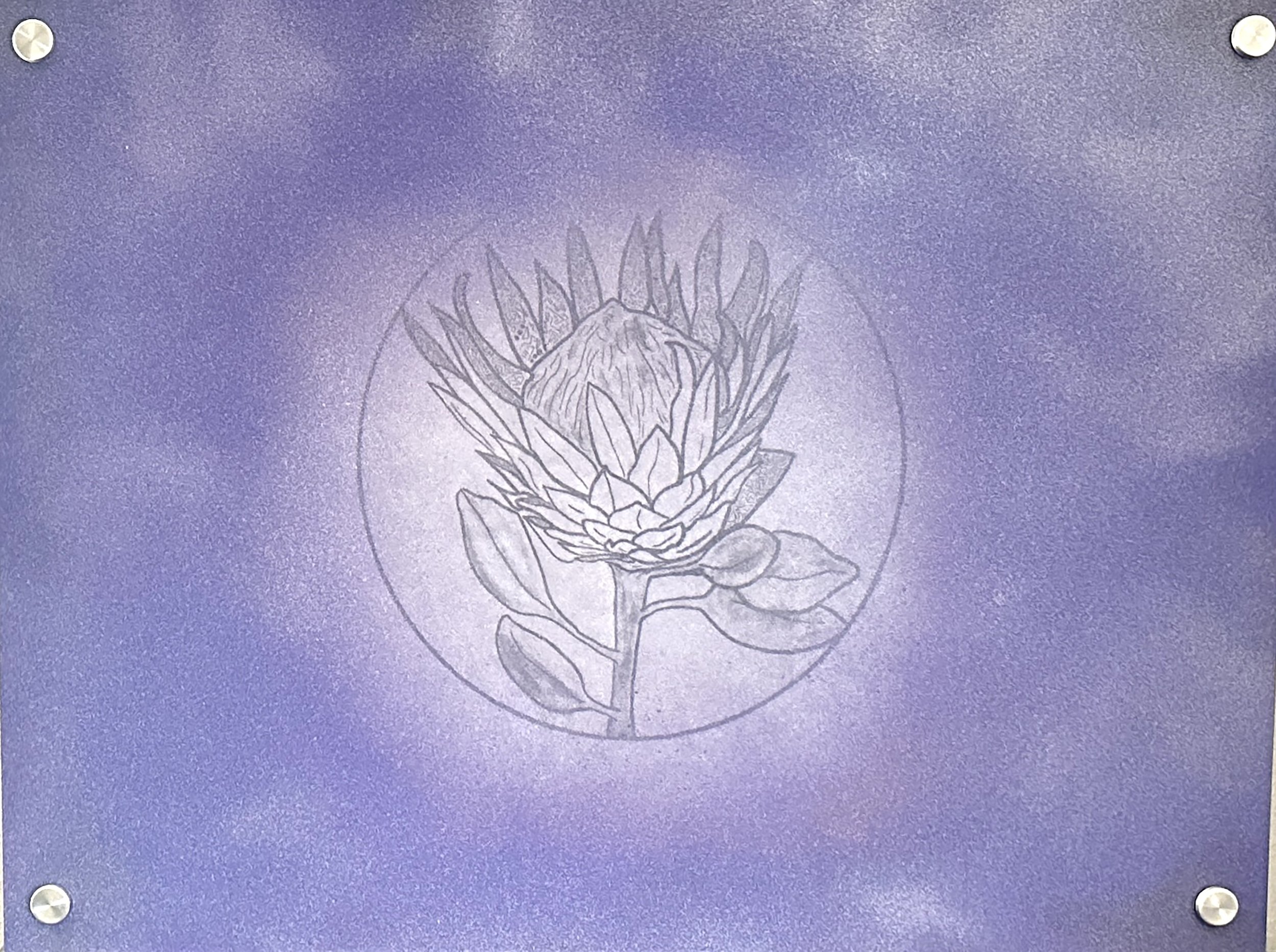 I've Been Here All Along, mixed media lithograph, 18x24", 2023
The flower protea symbolizes strength, courage, and resilience. All attributes that I am working on as a person. 