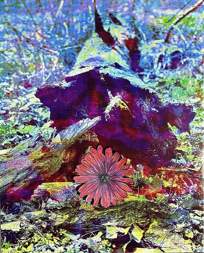 Truly Welcomed, mixed media collage, 20x16", 2023
Similar to the cacti piece, this work discusses how I felt when coming into my husband's family. 