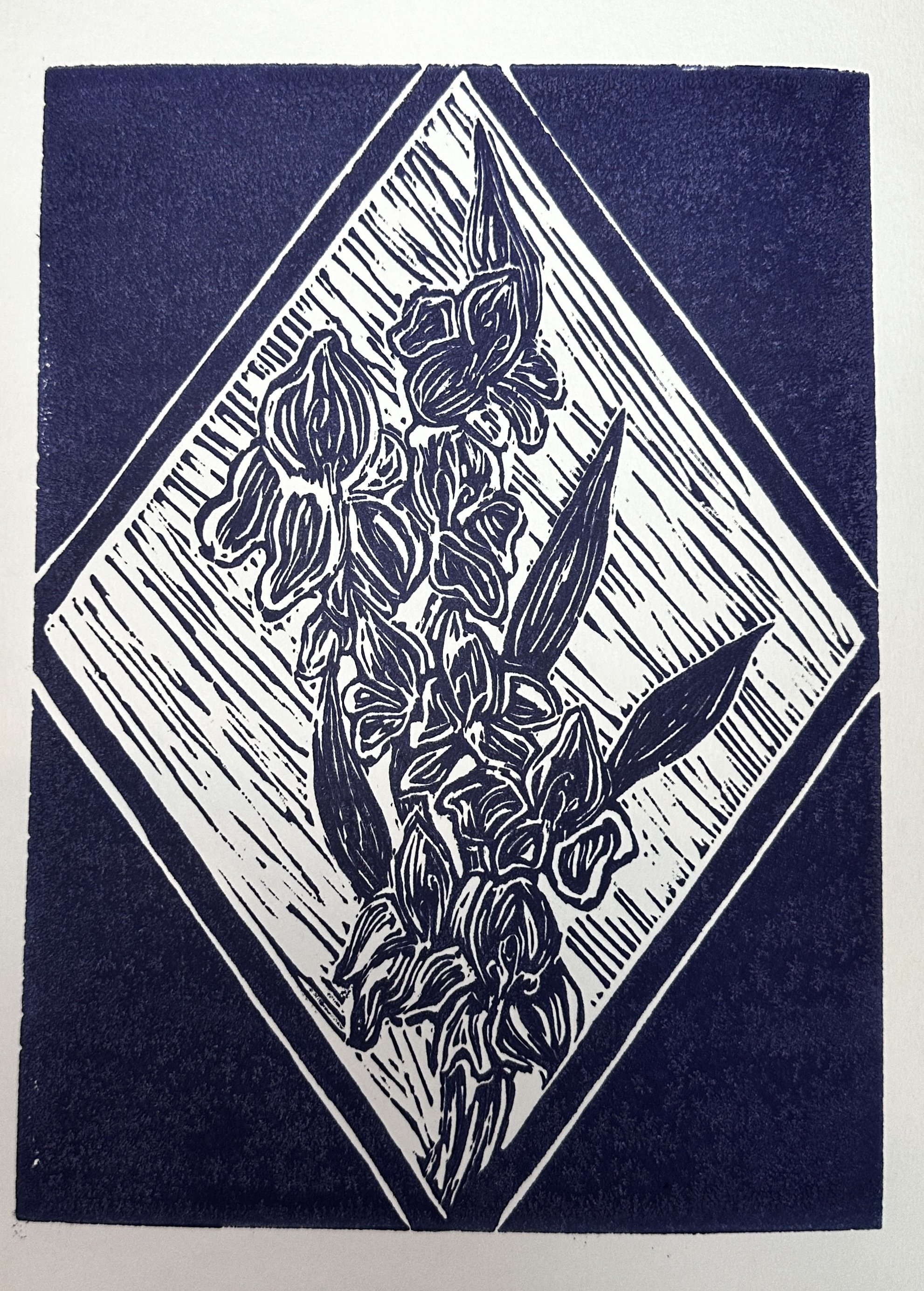 Delphinium, Linoleum print, 6x8”, 2022
Cheerful and protecting are symbols of the flower Delphinium, which many use to describe me. 