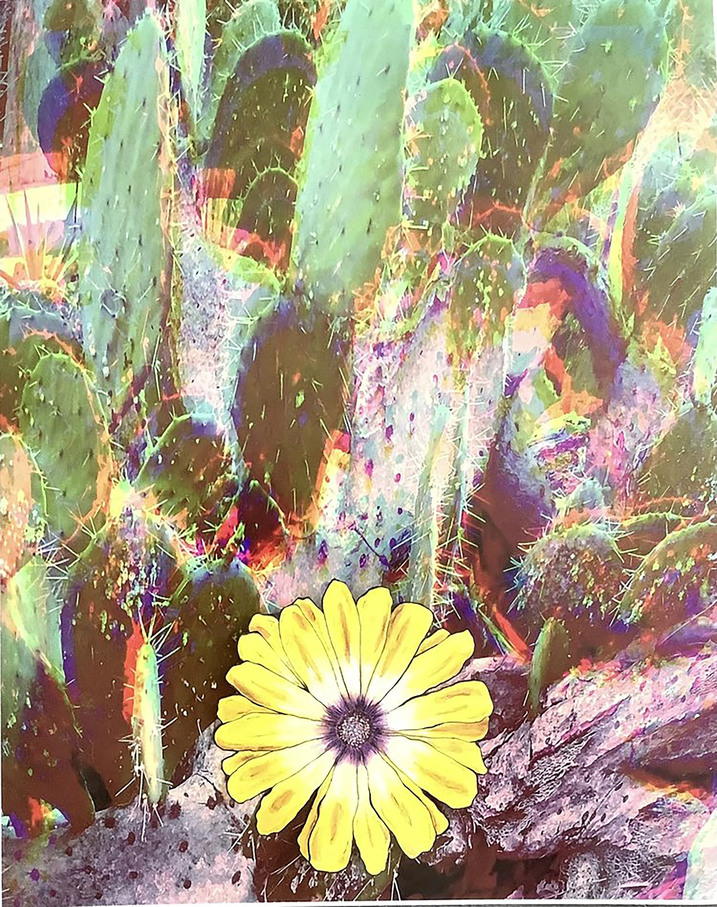 Amongst the Cacti, mixed media collage, 20x16", 2022
This work represents how I feel growing up with my step-family. I was raised by my step-father, he and his family resided me as if I was one of them, no hesitation. So representing myself as the da