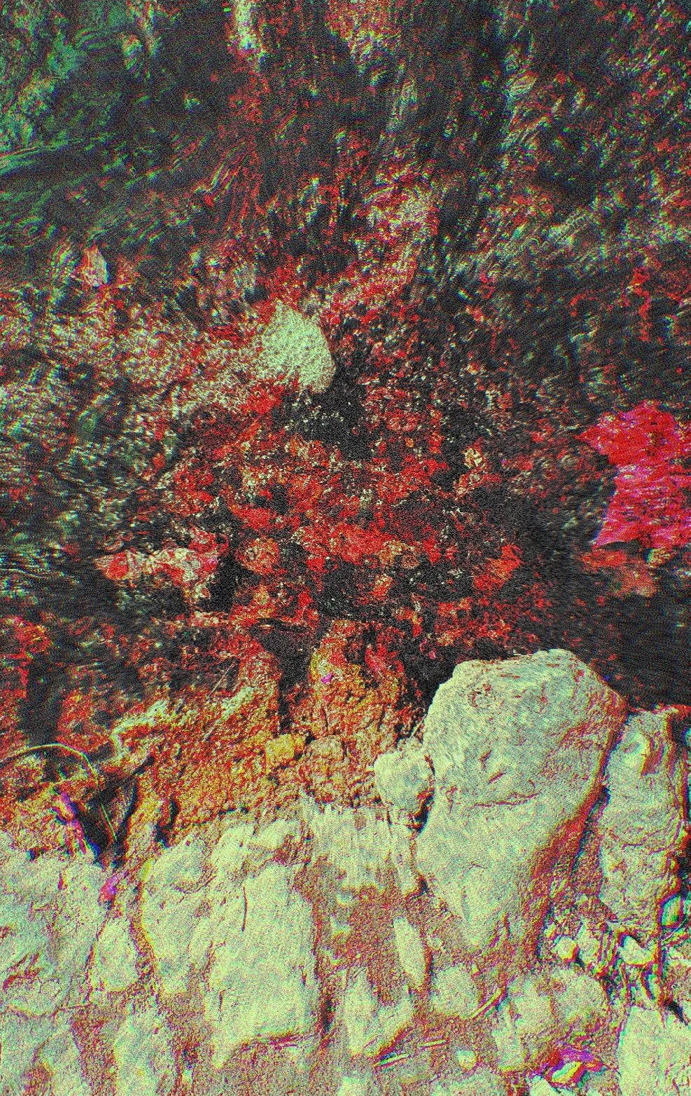 Still River Babbles, Digital Photograph, 2024