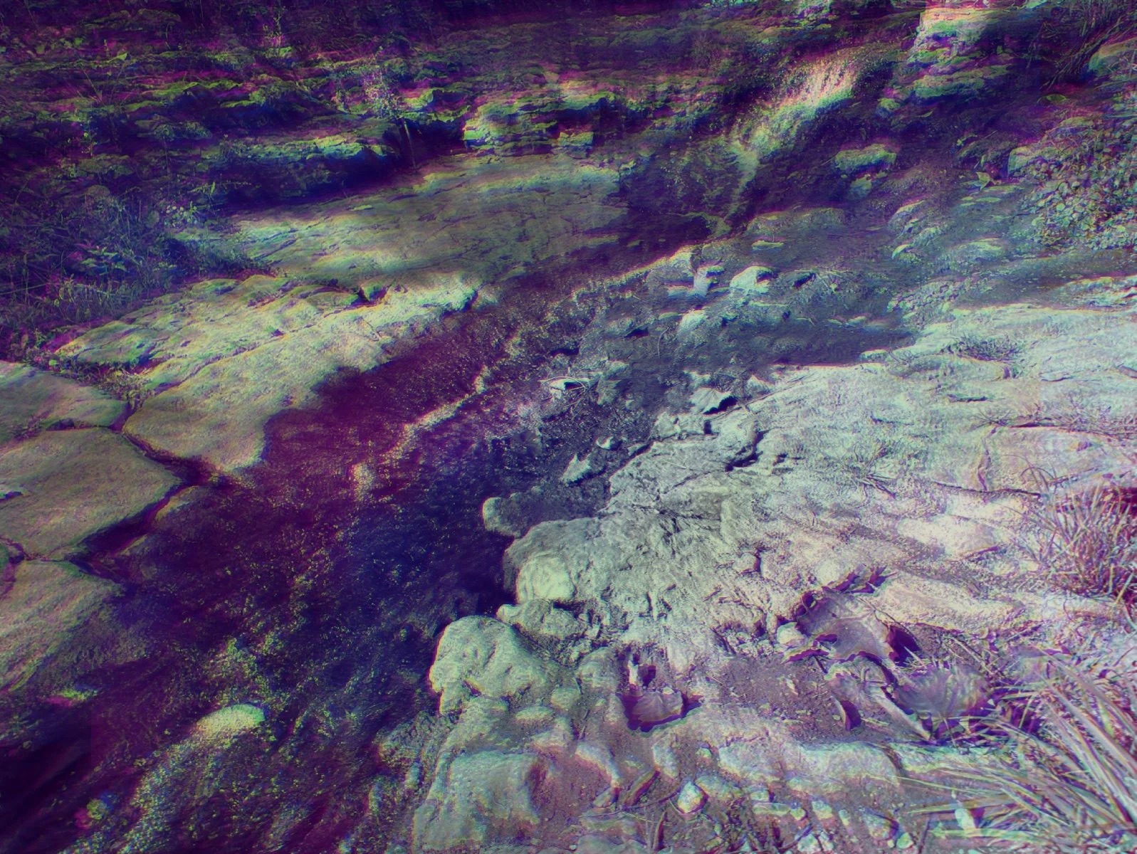 Self-Possessed, digital photography, 2024