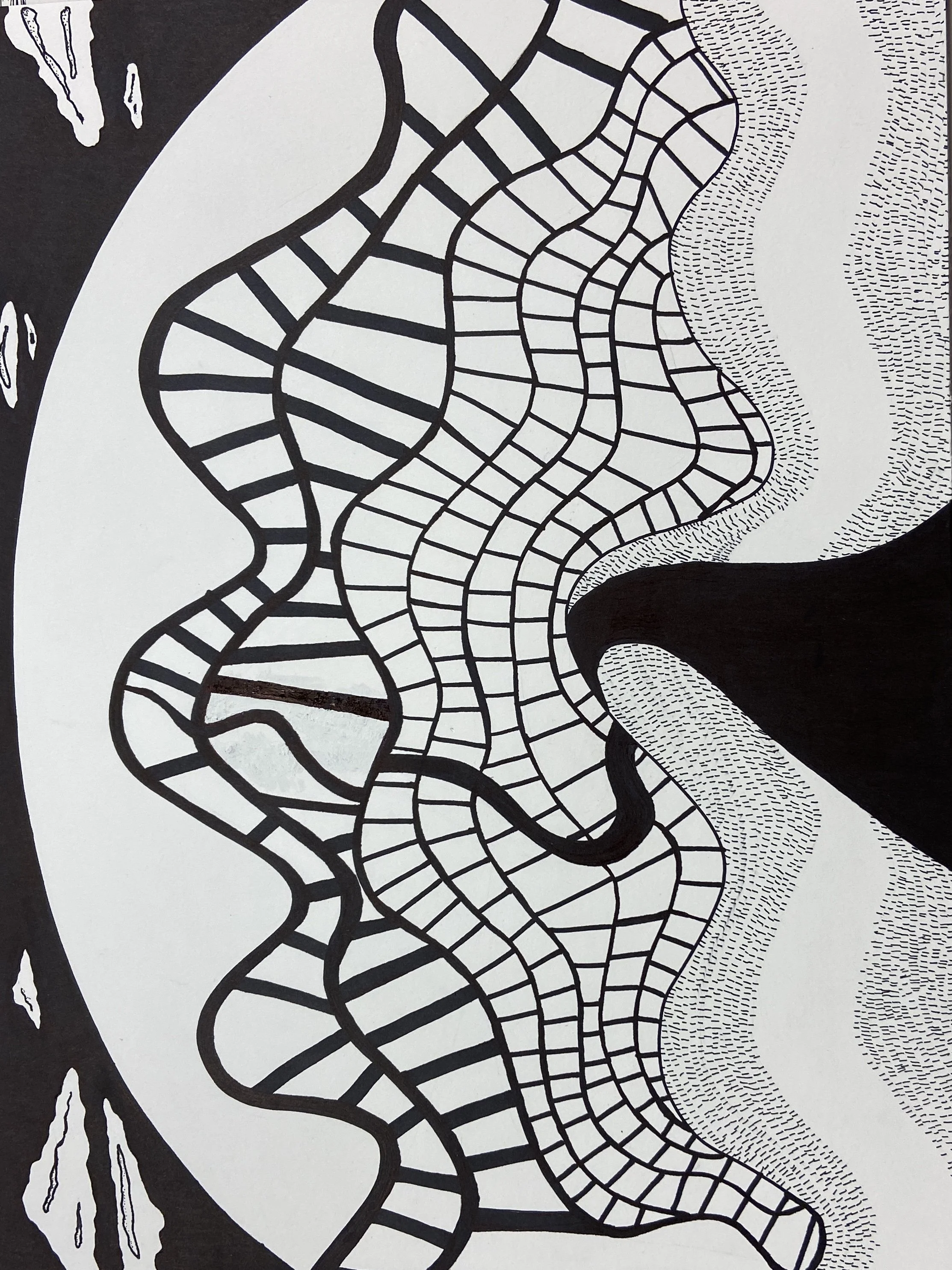 Line Assignment:
Develop and create a non-objective design using line as the main focus. Fully engage the composition and utilize linear networks to add variety, texture and value. Ink on Bristol Board