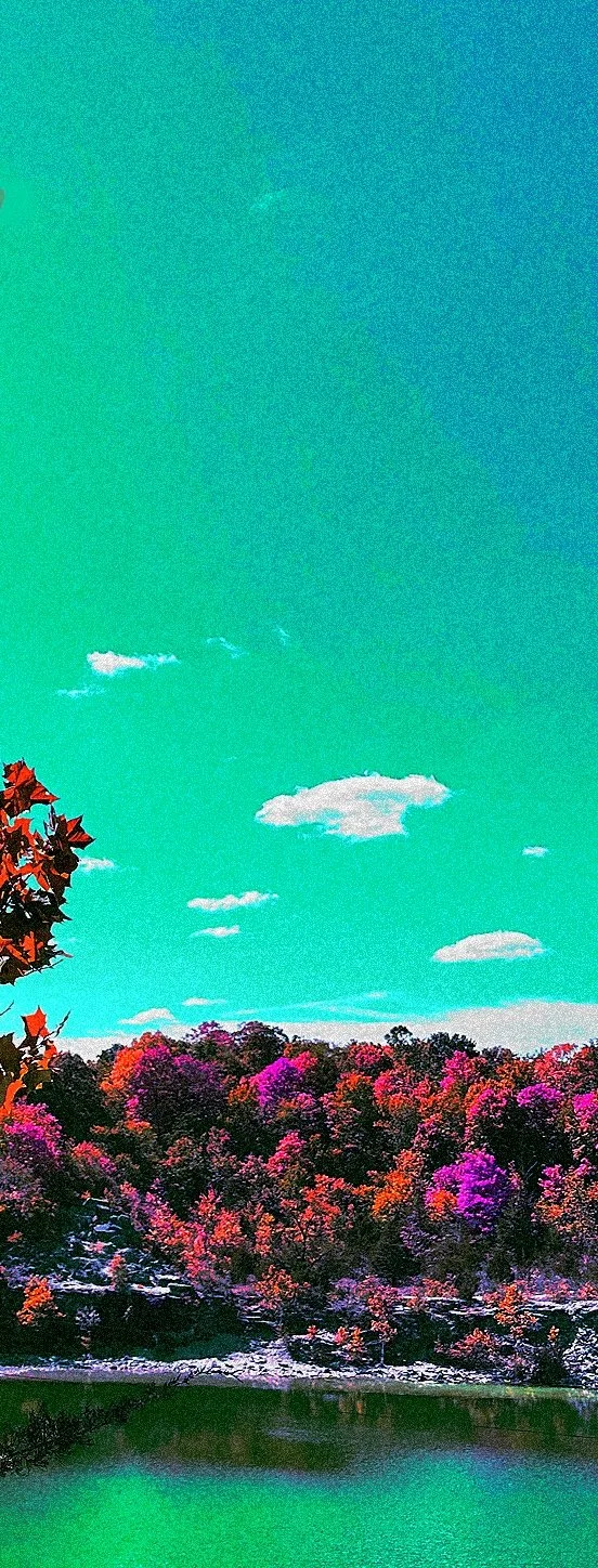 Tommorow’s Overlook

30x15”, Digital photograph, 2024