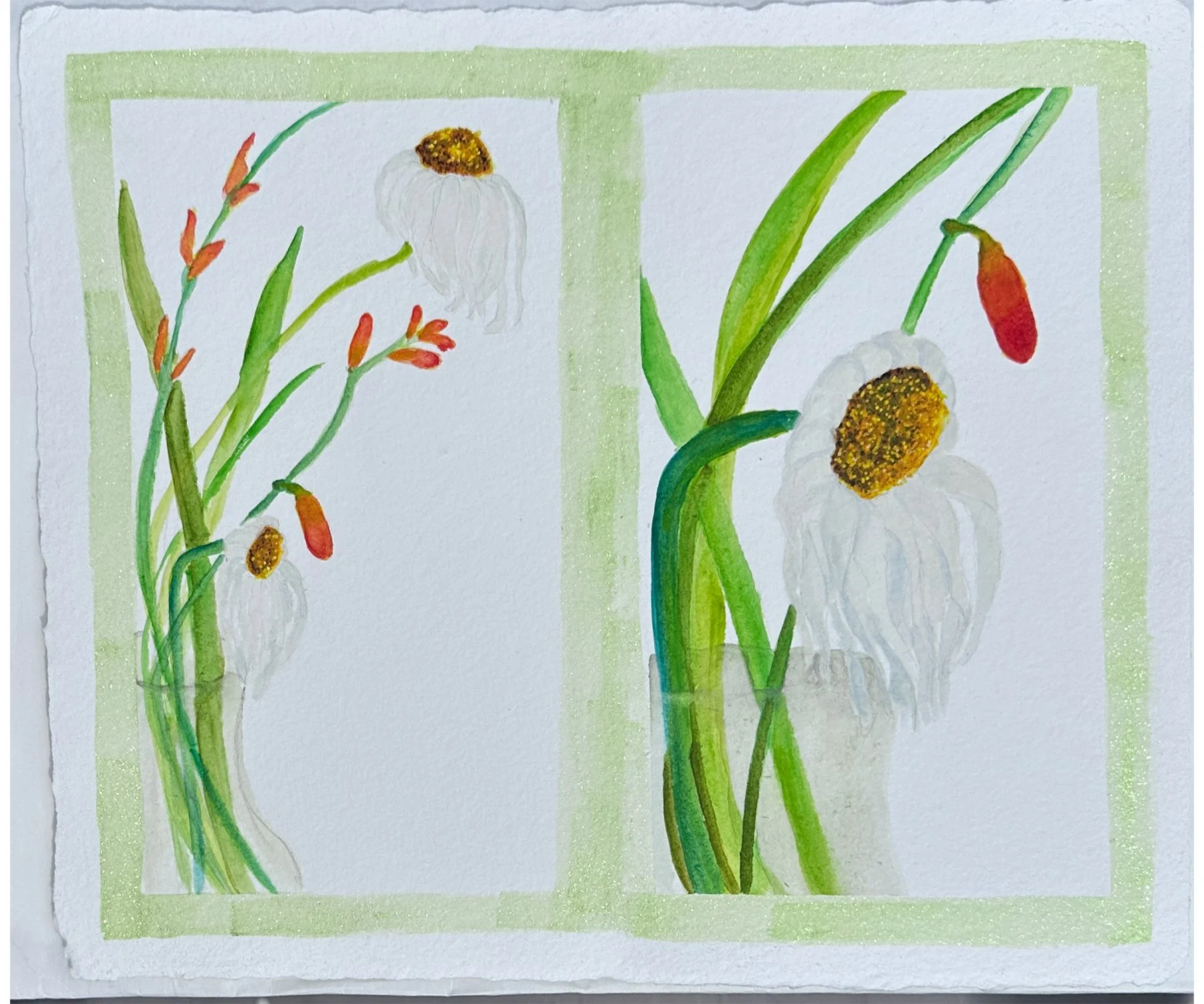 Daisy Study, 11x15", Watercolor