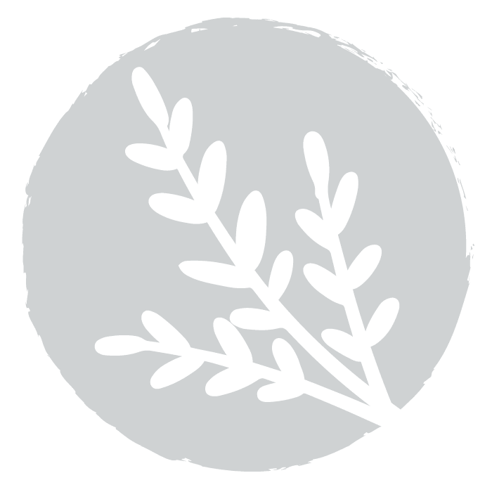 All Things Organic Boutique Branding, Website, & Marketing