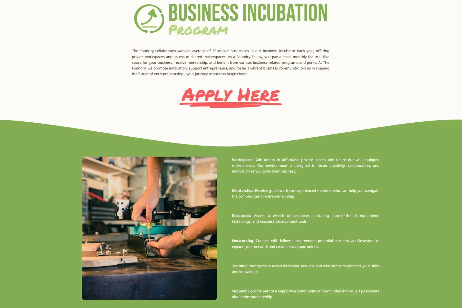 TF_NEW_businessINCUBATION.jpg