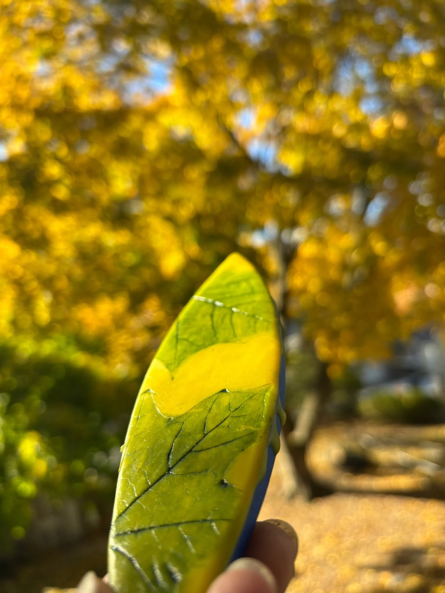 Happy Fall Equinox. 🍂

Yes, I am absolutely a pumpkin spice kind of person aI love this season. 

The shift in light, the smell of the air, the changing of color in the trees.

This is my favorite turning of the year.

These photos are from our old 