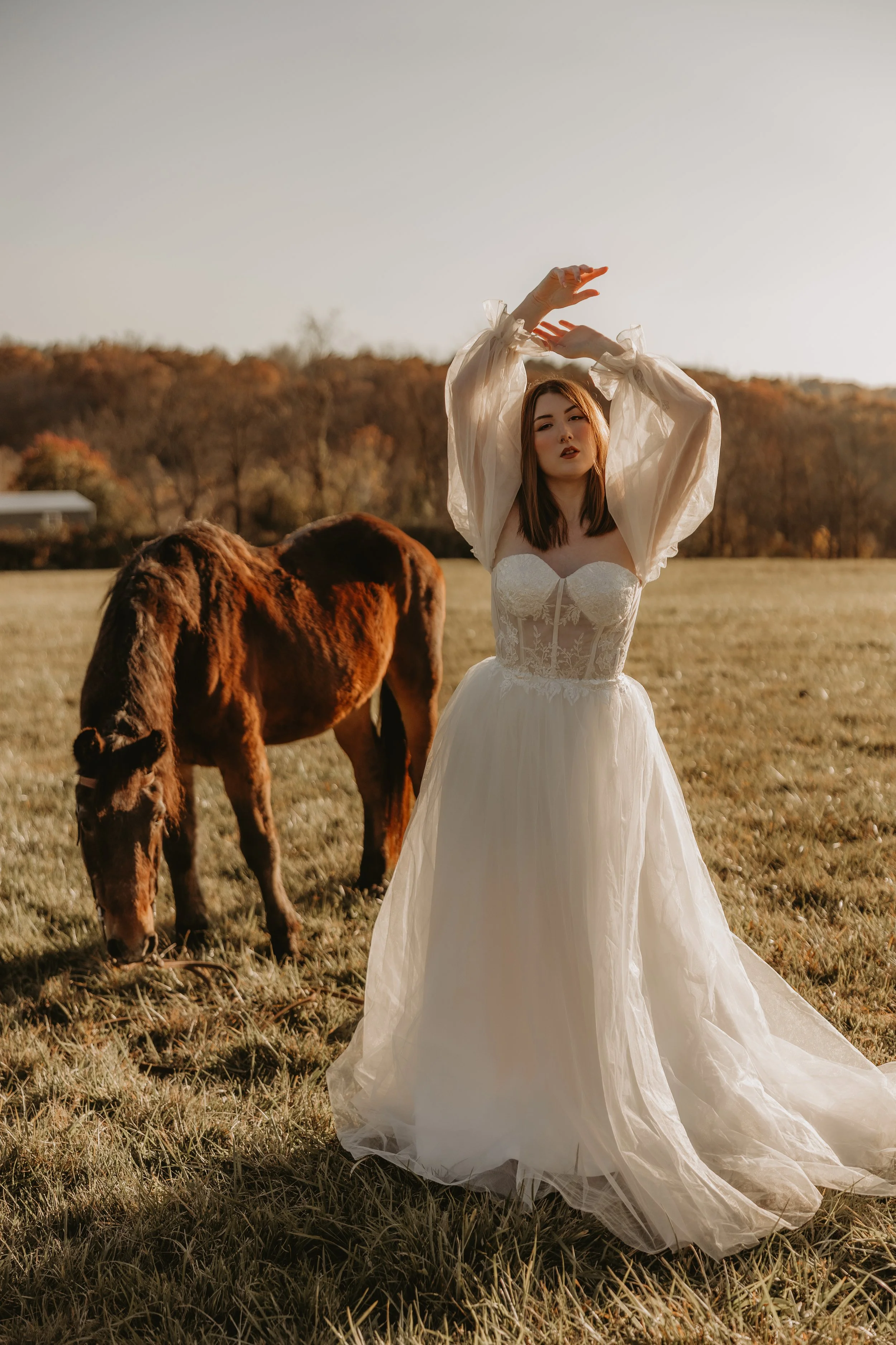A woman in a white wedding dress with puff sleeves stands in a field with a brown horse grazing nearby. The background features leafless trees and a distant barn, under a clear sky during sunset.