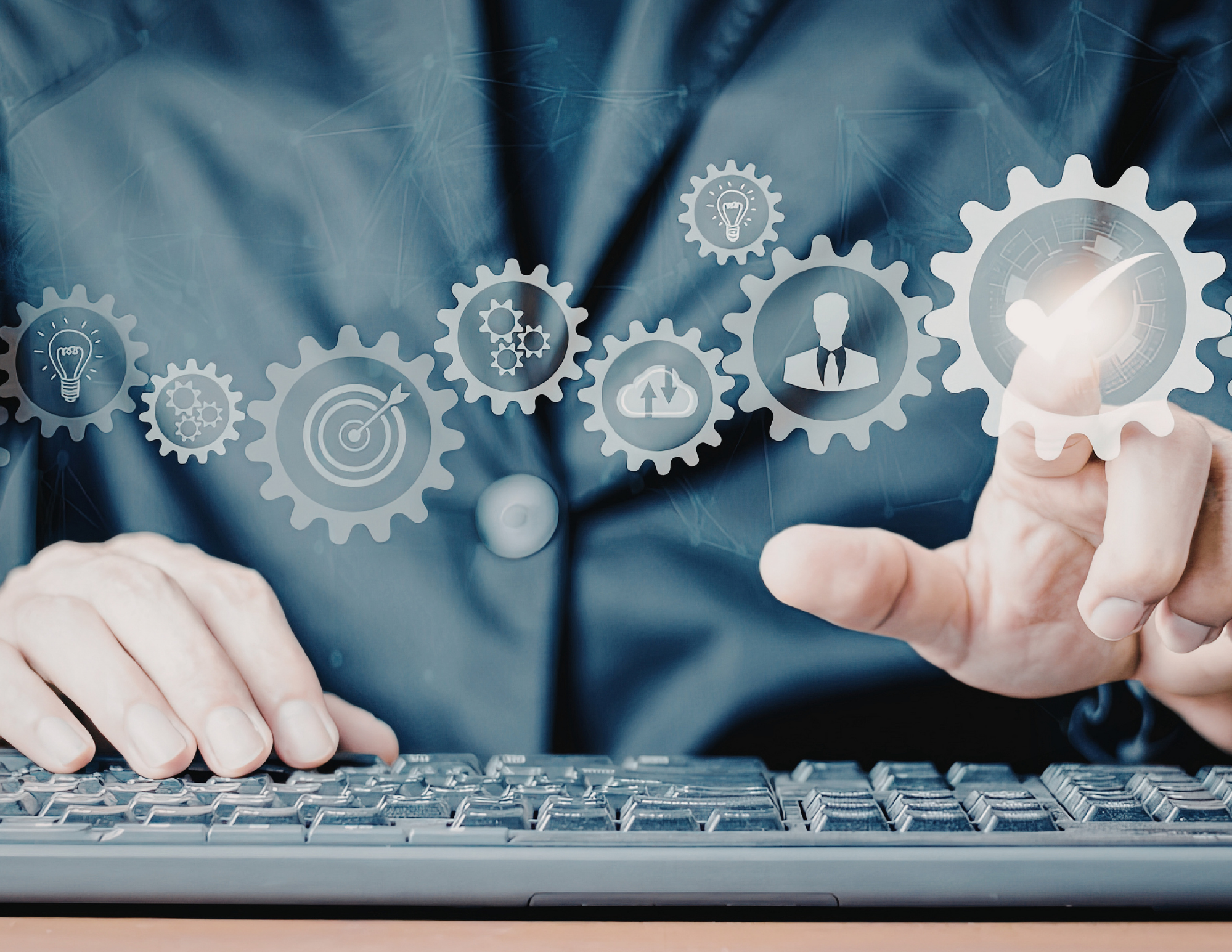 Systems for Sanity: Business Organization as a Growth Strategy