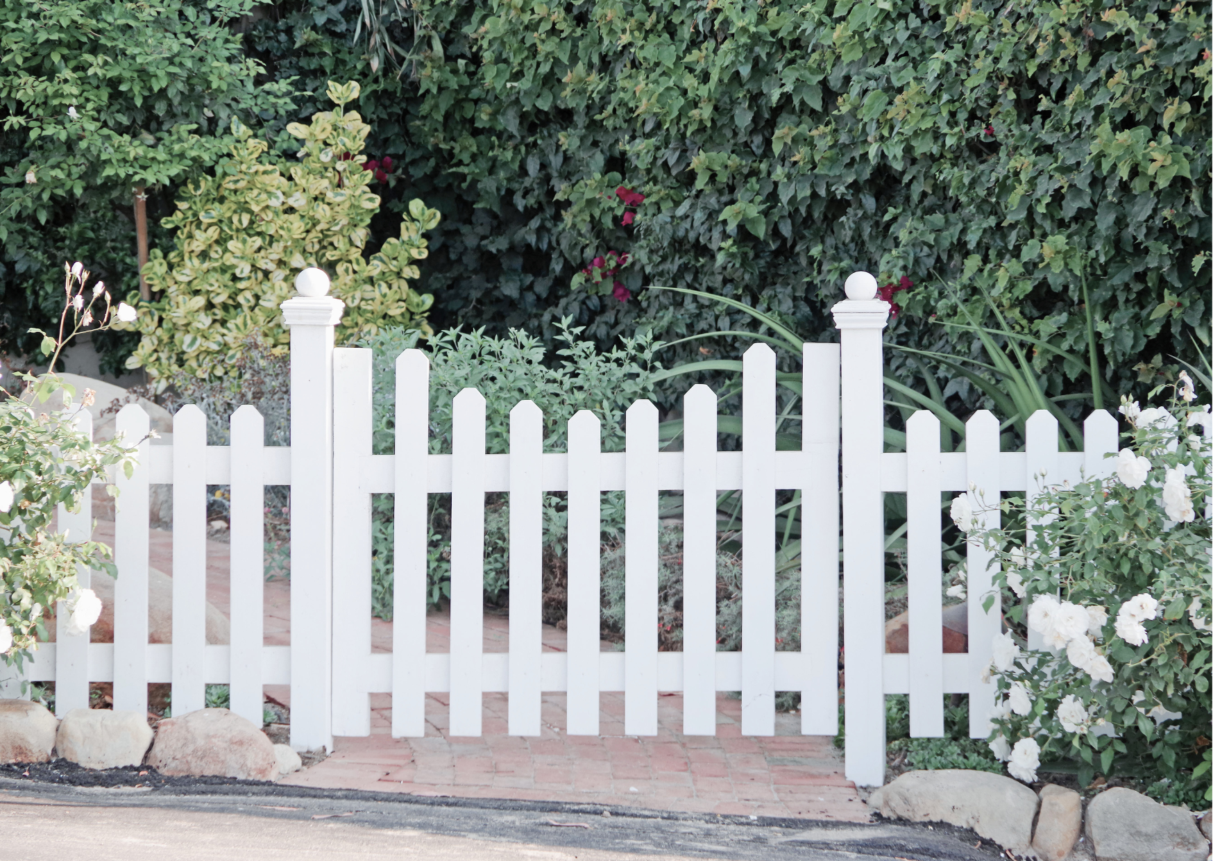 An image of a white picket fence with gate surrounded by greenery and white flowers