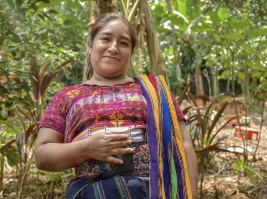Indigenous peoples' Justice
