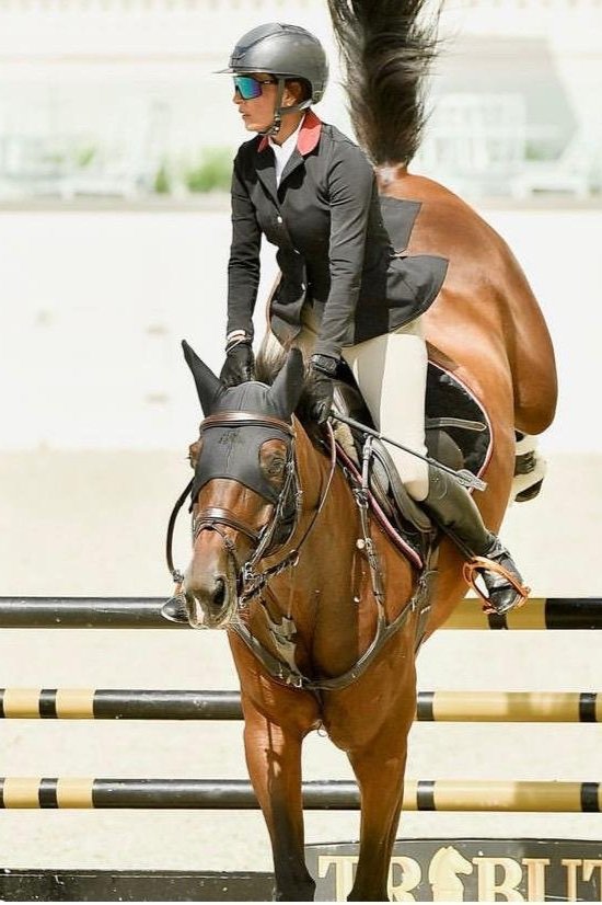 15 HANDS MEDIA | Attract Discerning Horse Clients: Equestrian Website Design & Social Media: Ocala Marketing.