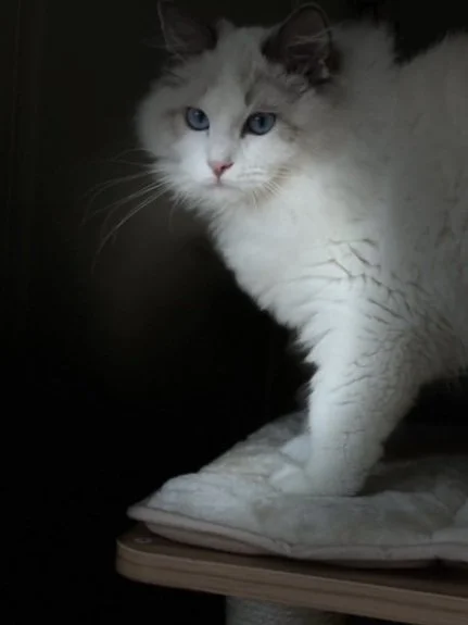 15 HANDS MEDIA | Launch Faster, Grow Stronger: Web & Social for Service Businesses.