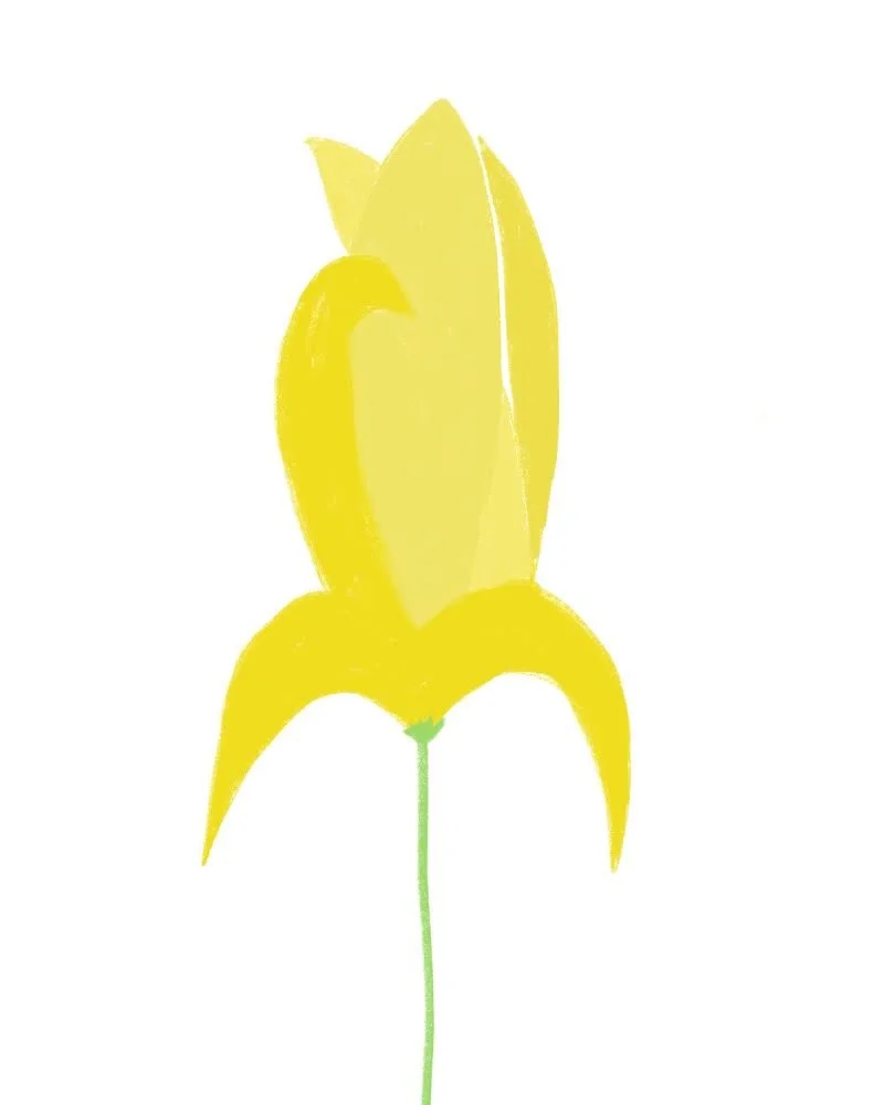 yellow-flower-buckley.JPG