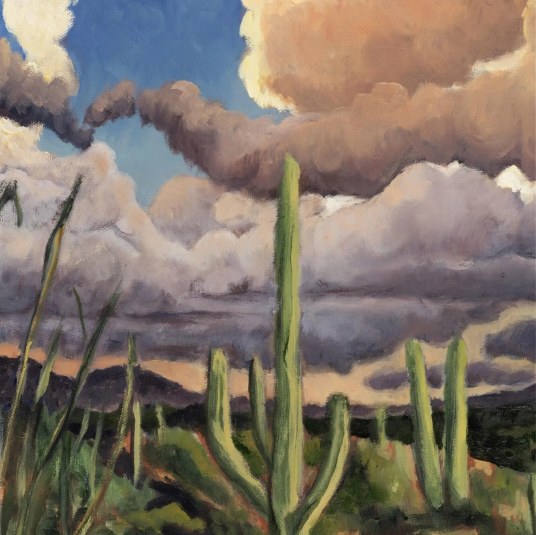 Jason Zerafa - Cowboy In NYC