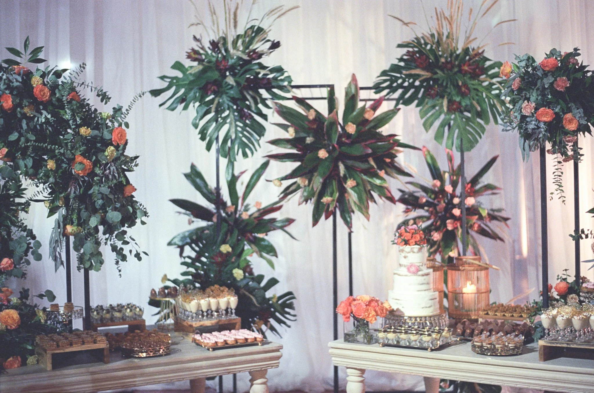 Image37.jpg