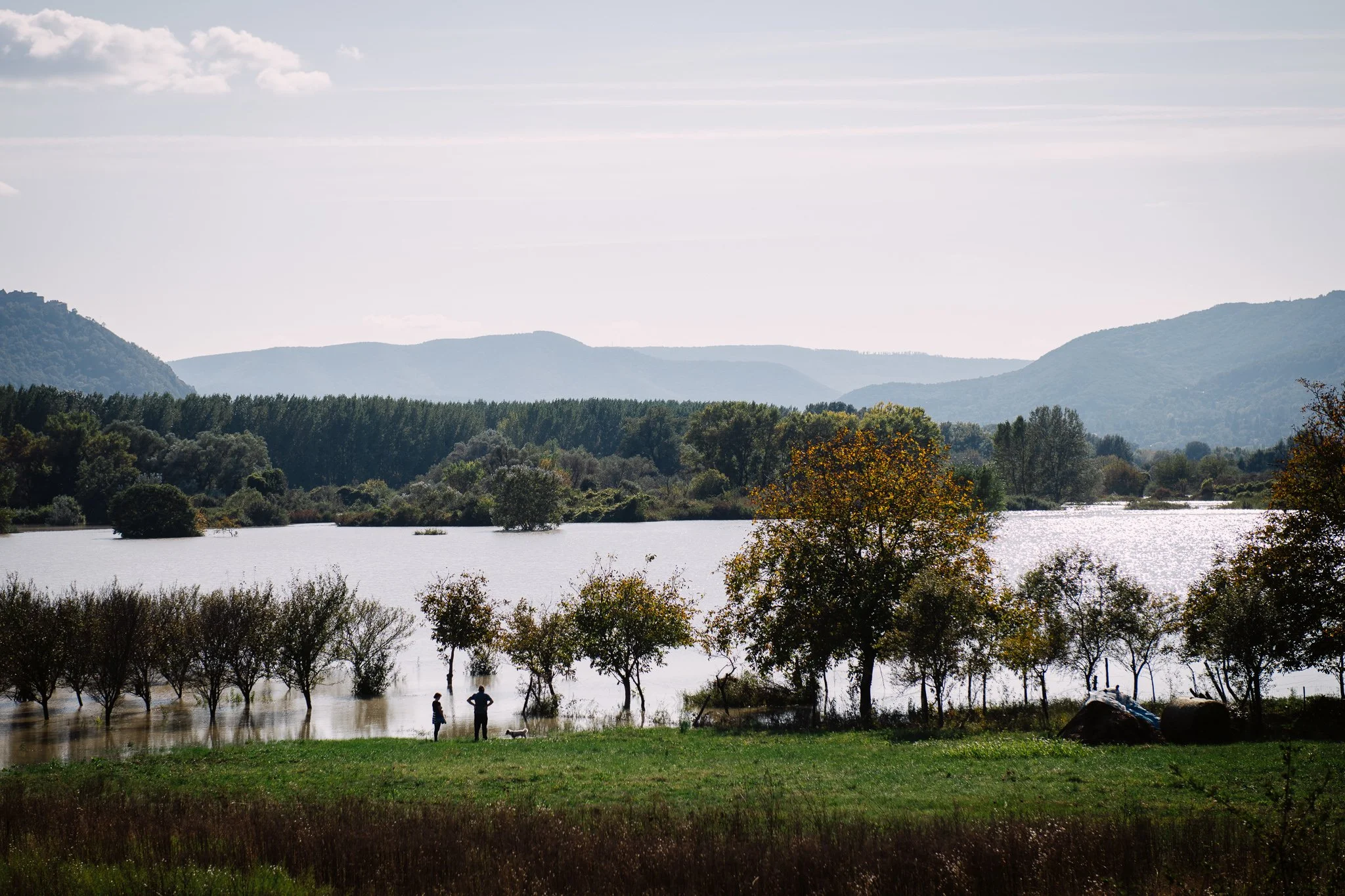 A couple arrived with their dog to look at the Danube River near Kismaros on 19 September 2024. The mountains of the Danube bend  appear in the background. Everything is alive.