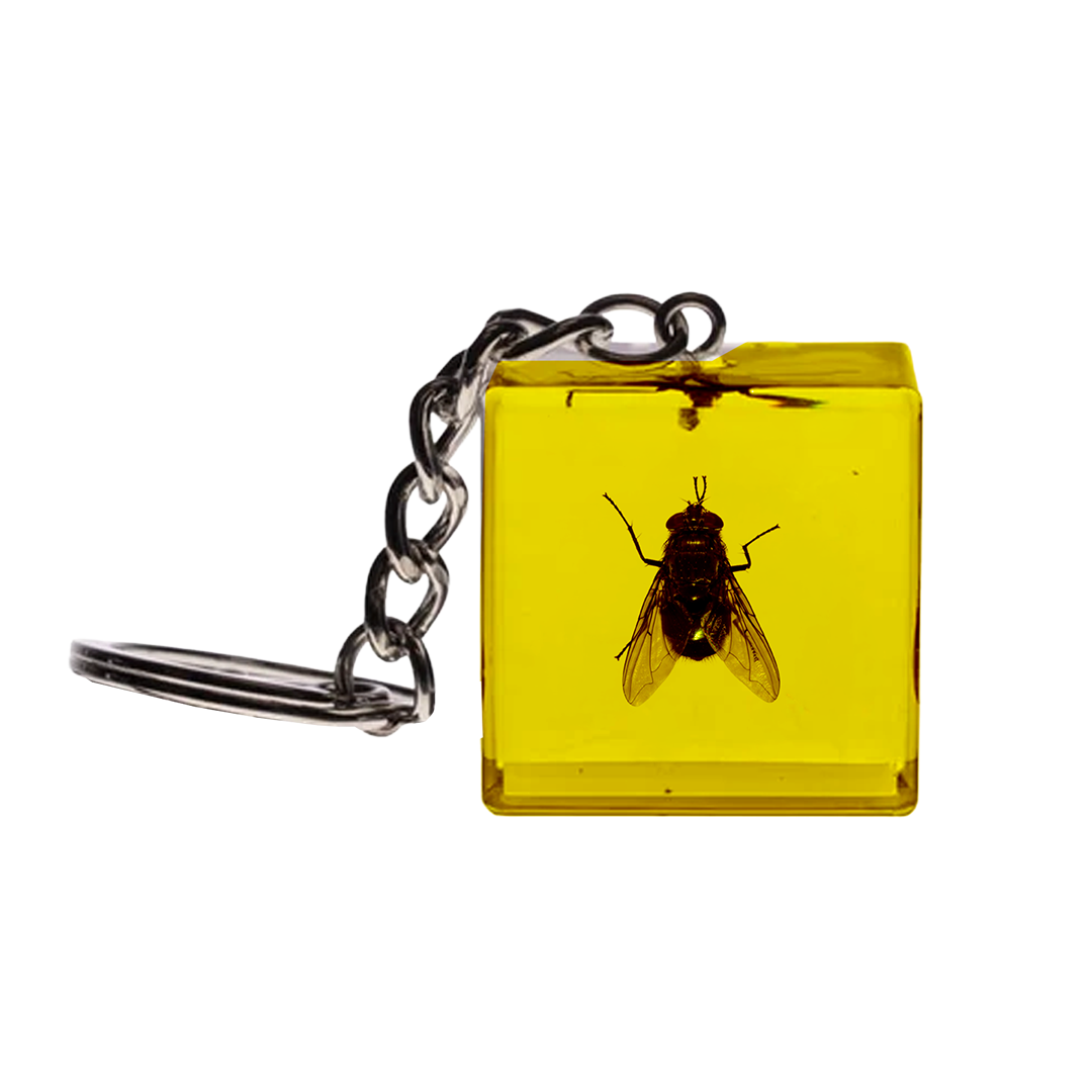 Keychain V1 website.png (Copy)