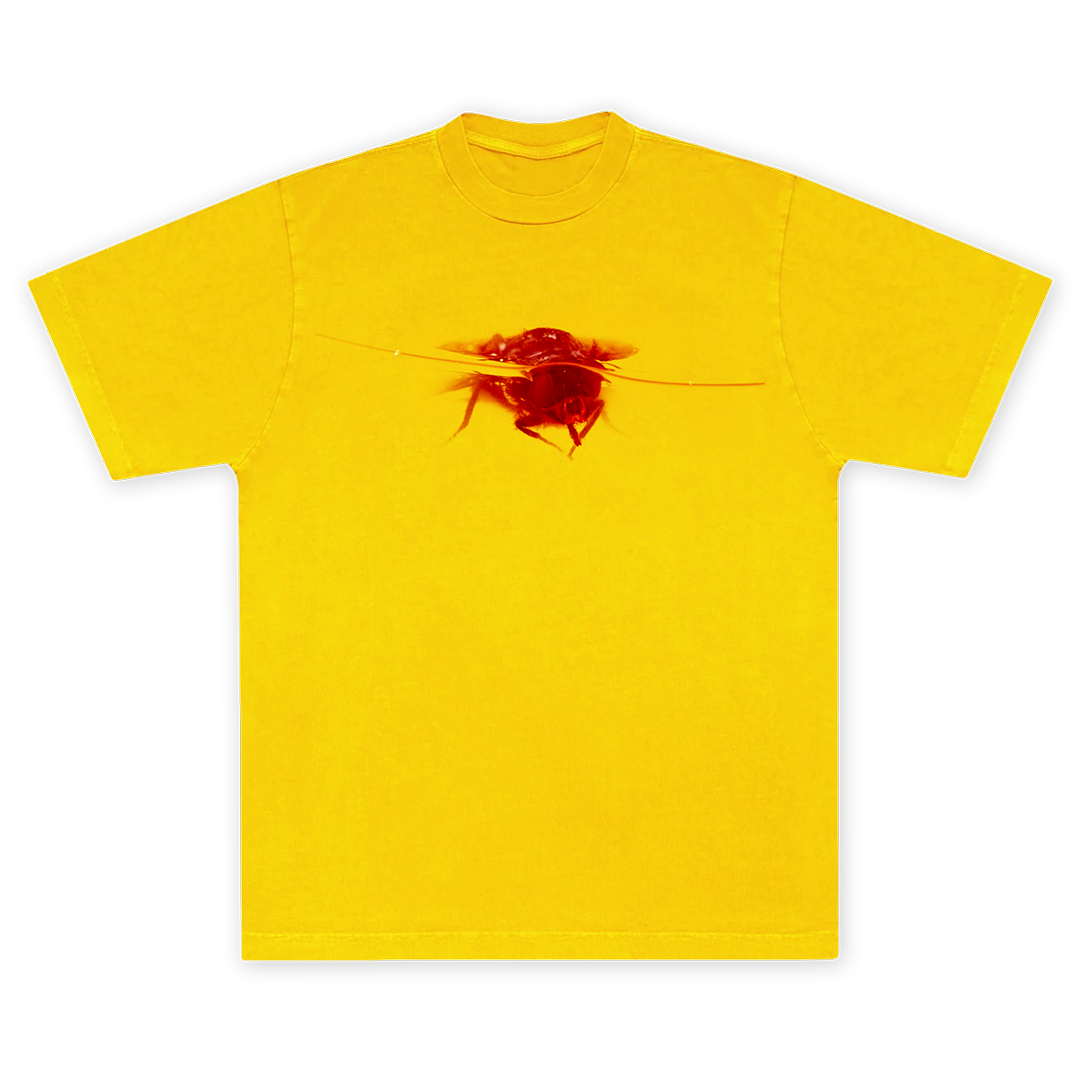 Yellow Front V1 website.png