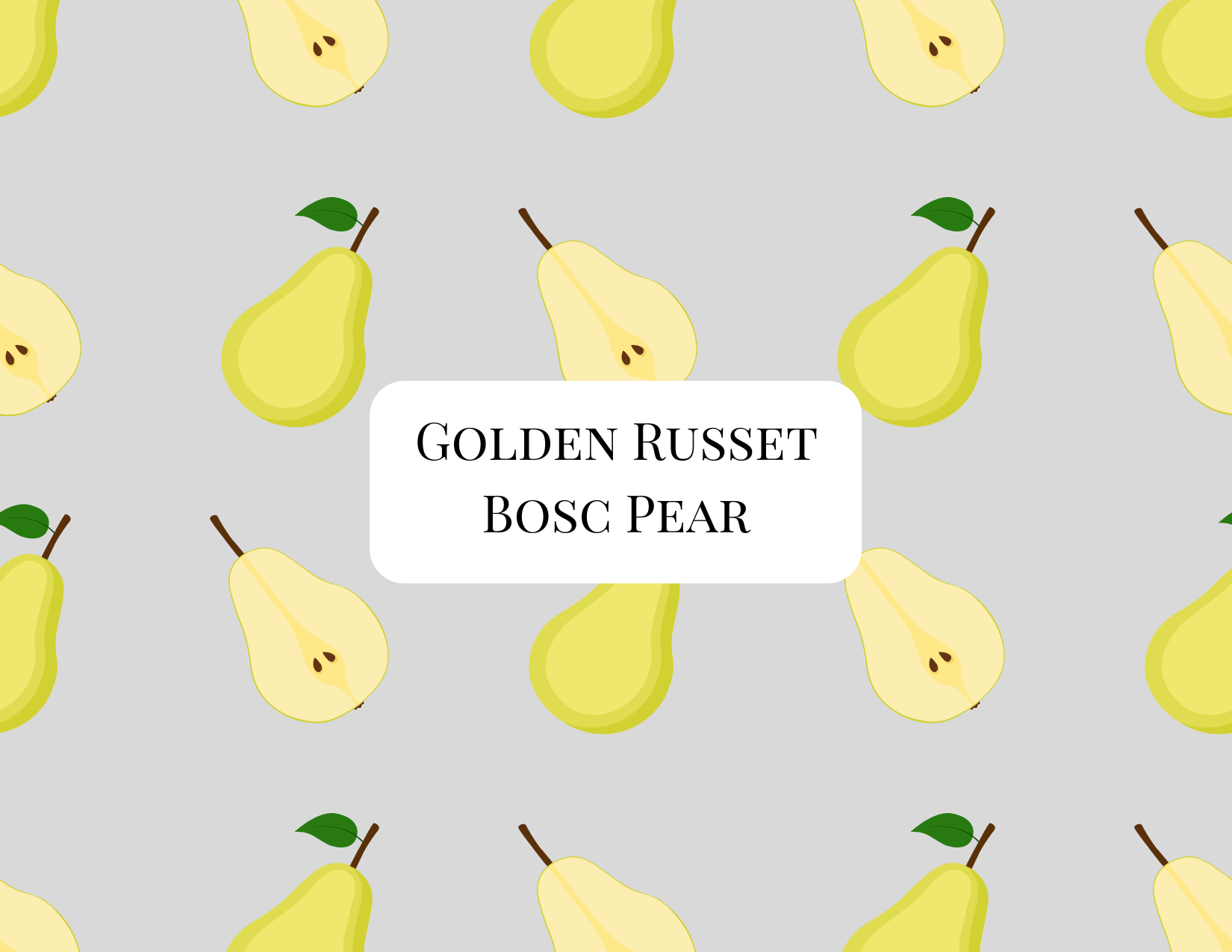 Golden Russet Bosc Pear Tree