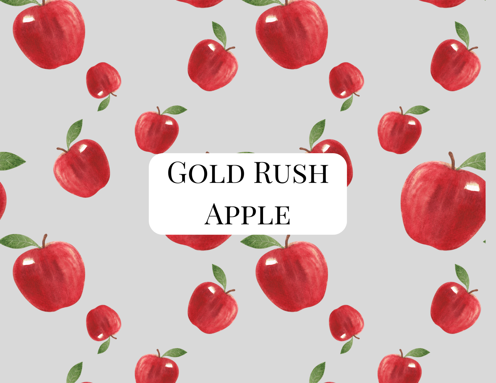 Gold Rush Apple Tree