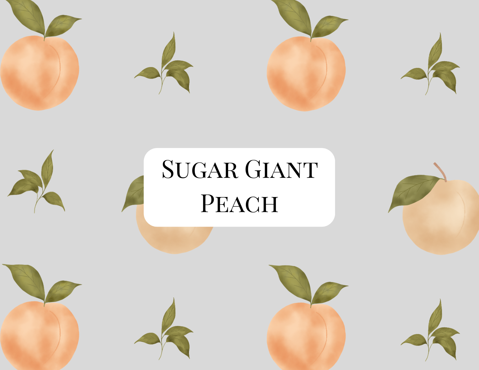 Sugar Giant Peach Tree